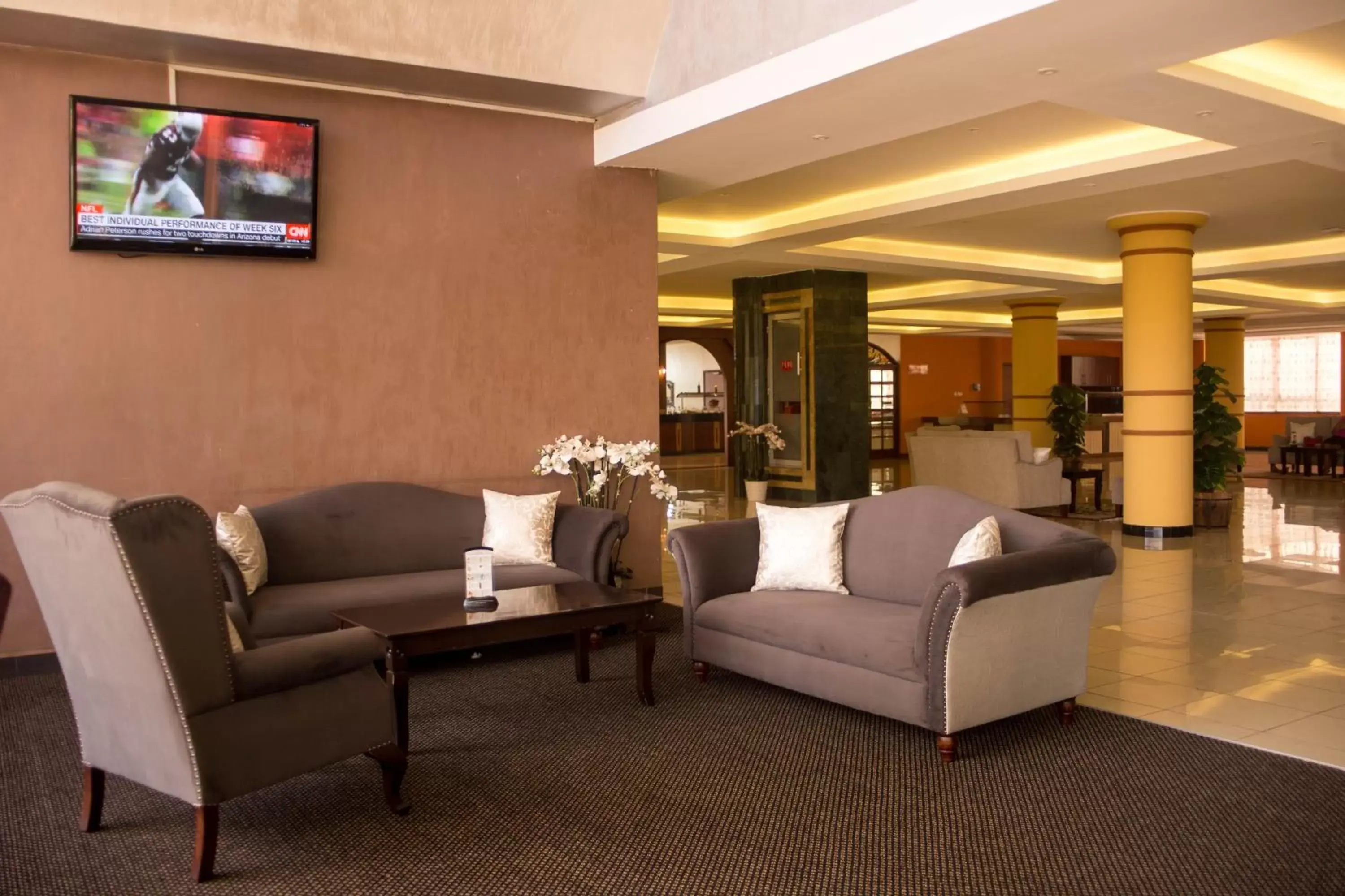 Communal lounge/ TV room, Lobby/Reception in The Panari Hotel