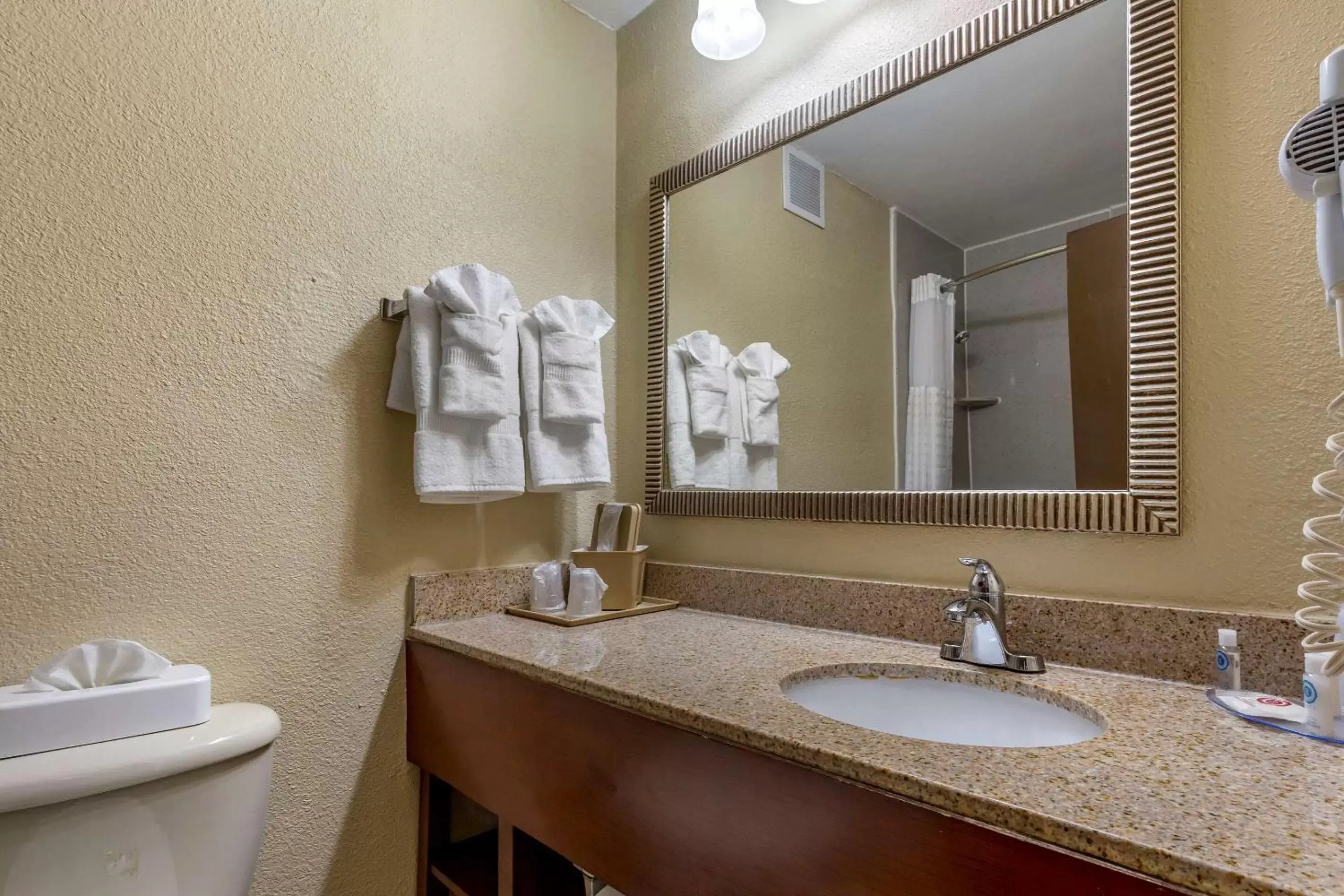 Bathroom in Comfort Inn At the Park