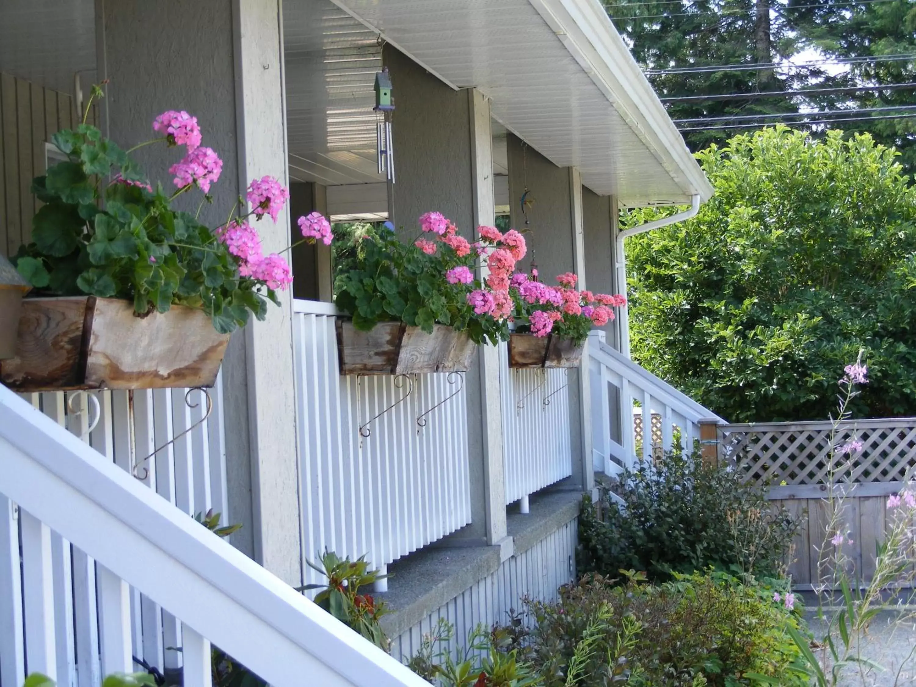 Facade/entrance in Hummingbird Guesthouse