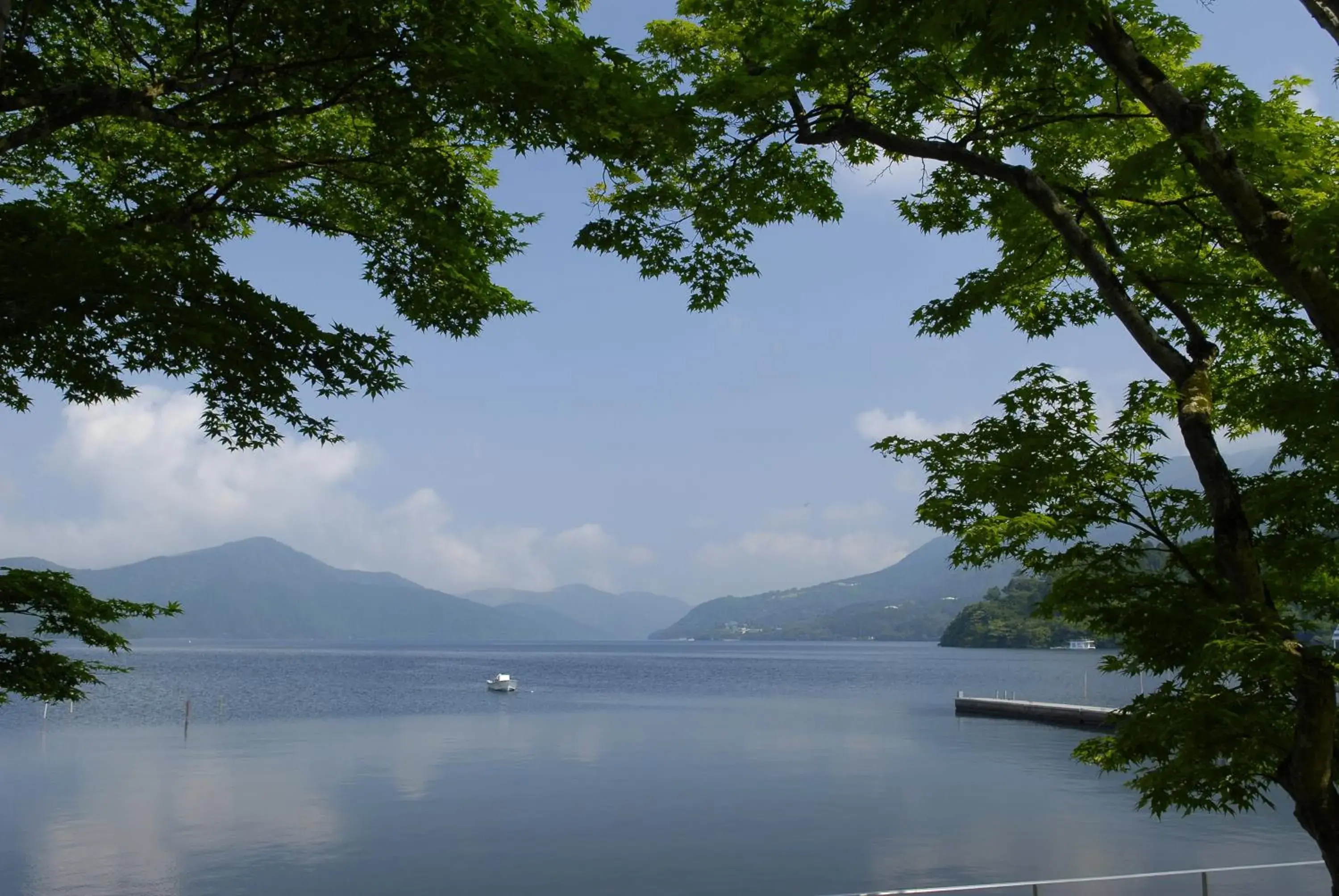 Summer in Hakone Hotel