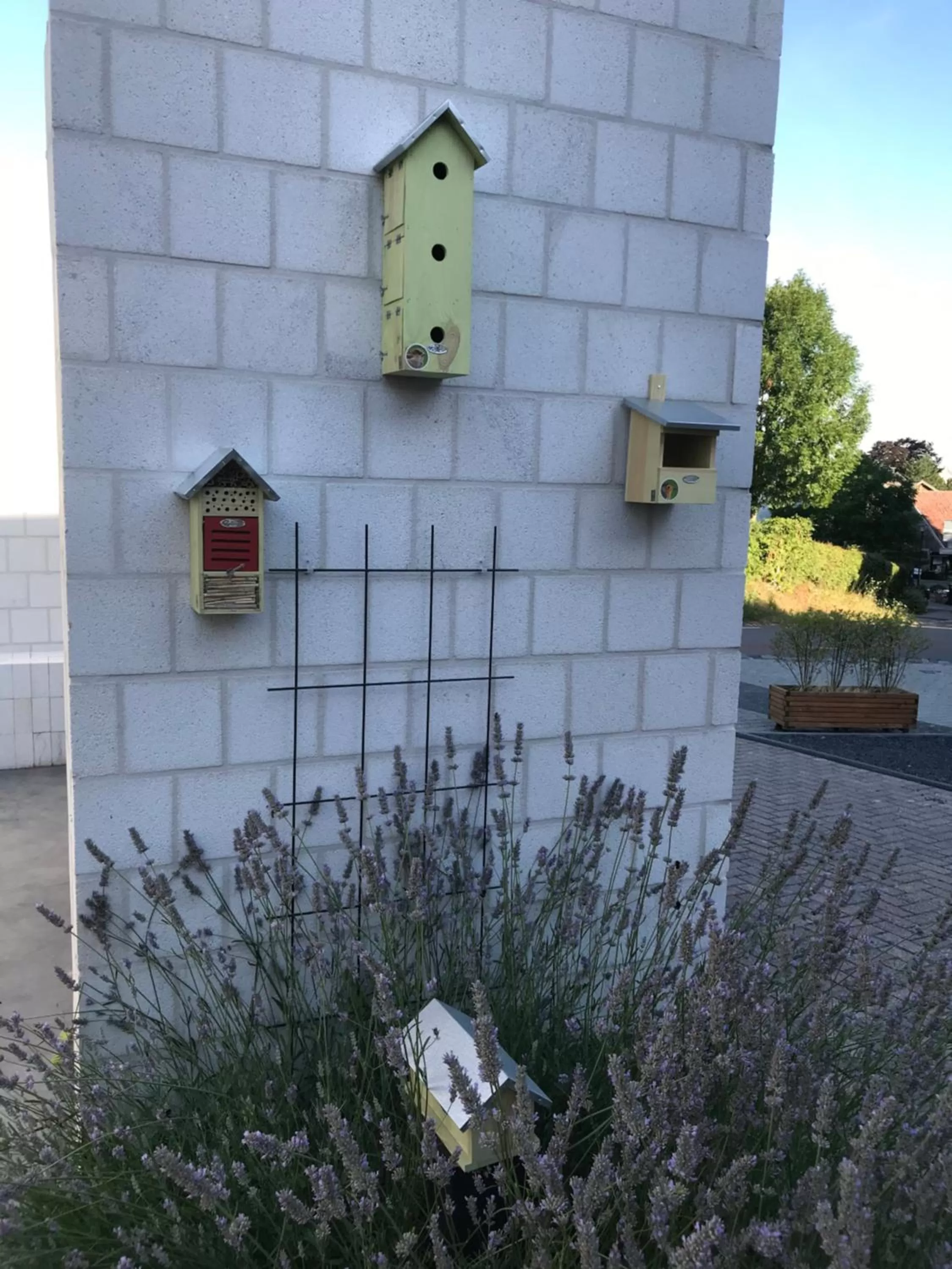 Property Building in B&B Holset70