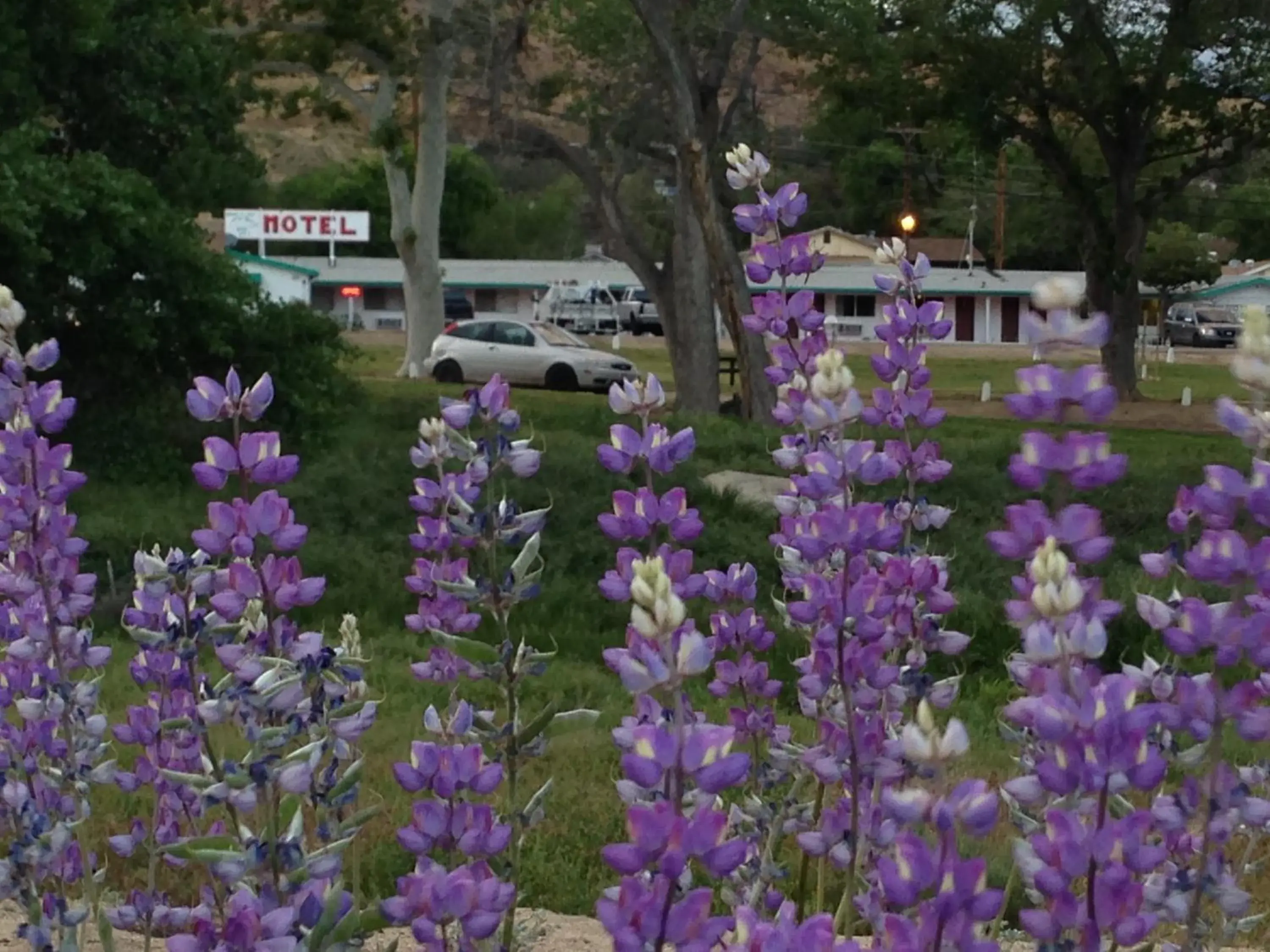 Mount-N-Lake Motel