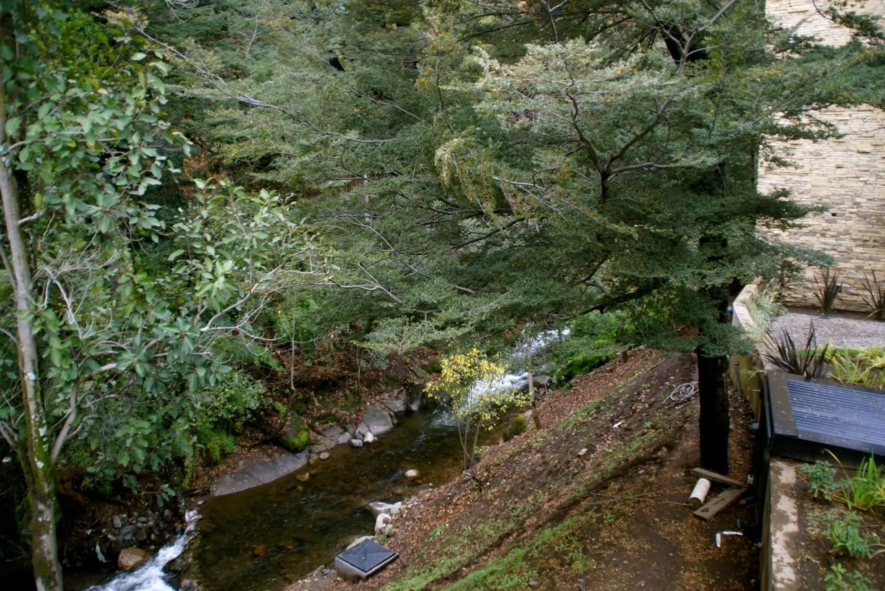 Off site in El Oasis Apart Hotel