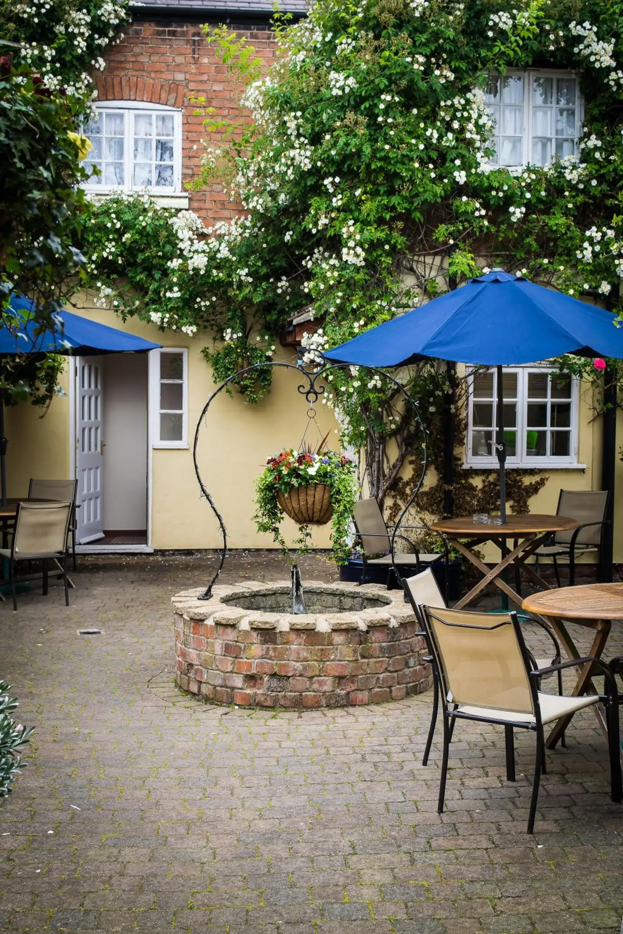 Garden in The Cottage Hotel