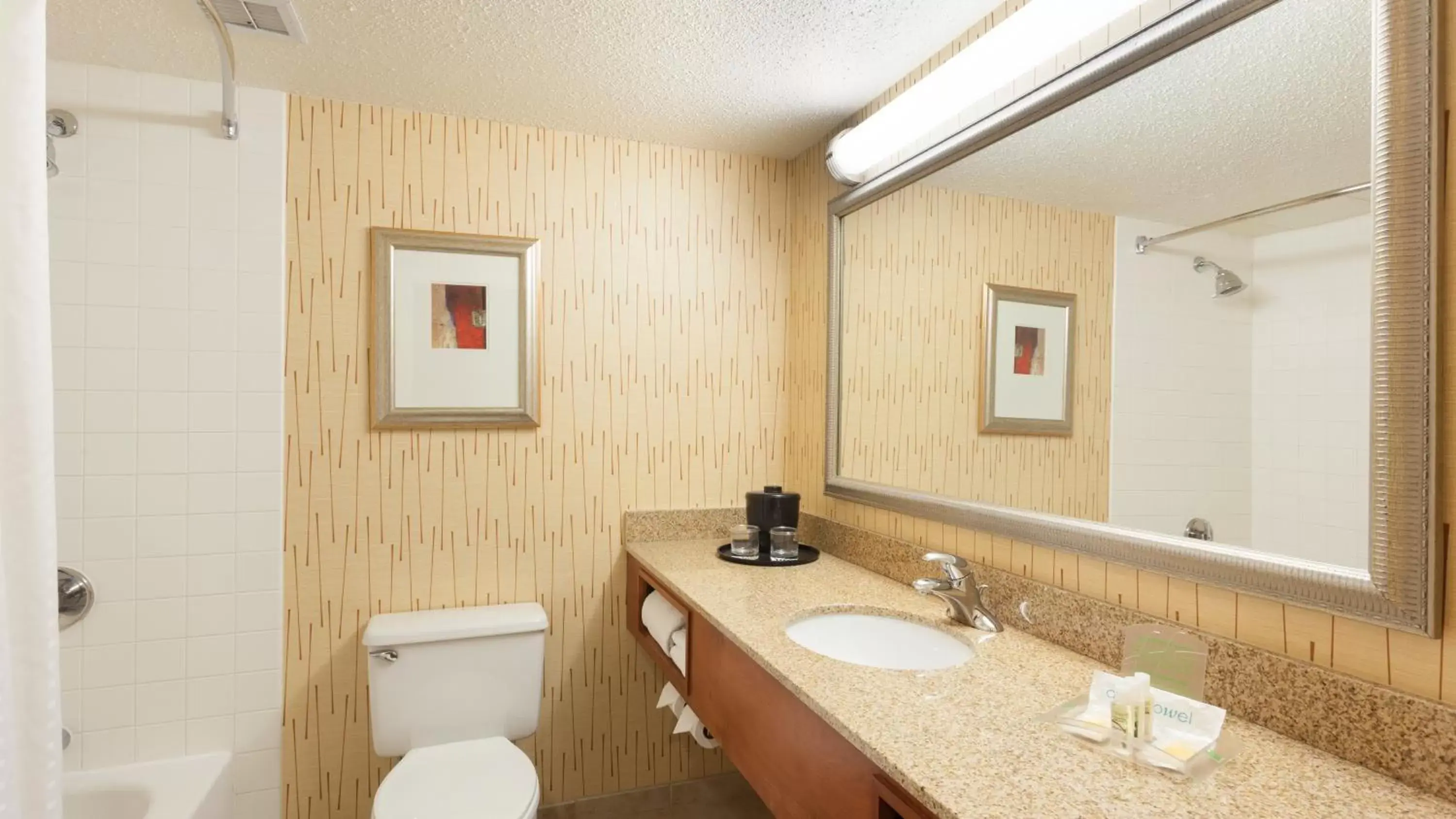 Bathroom in Holiday Inn Cincinnati Airport, an IHG Hotel