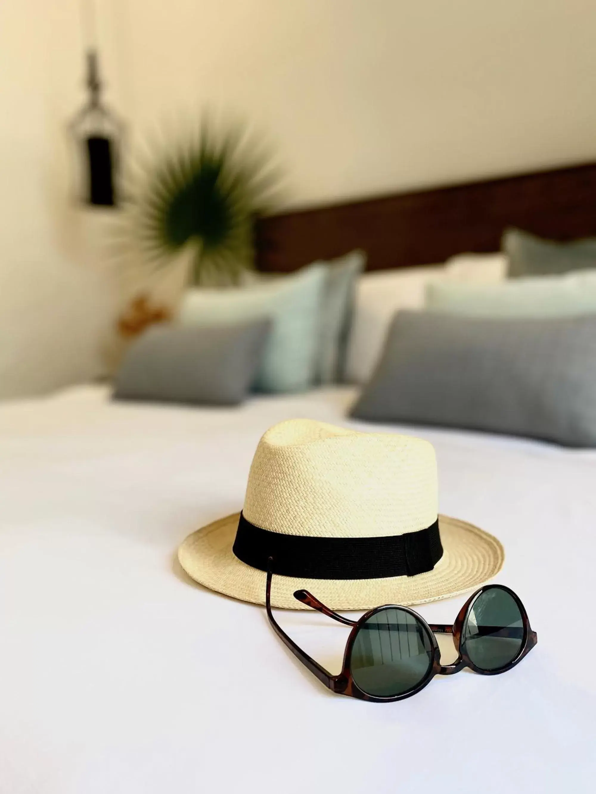 Superior King Suite in The Diplomat Boutique Hotel Superior King Suite in The Diplomat Boutique Hotel