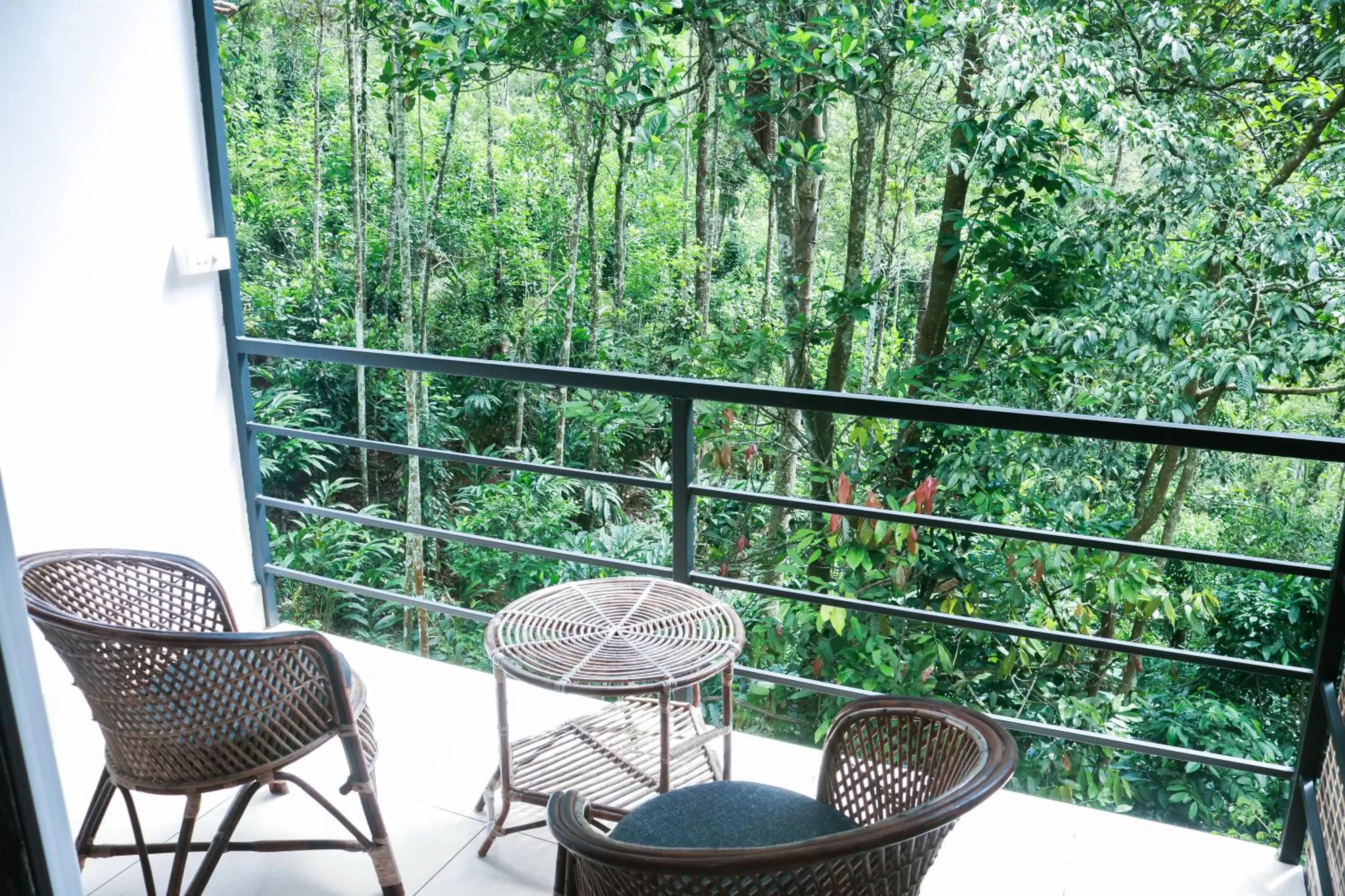 Day, Balcony/Terrace in Edens Munnar
