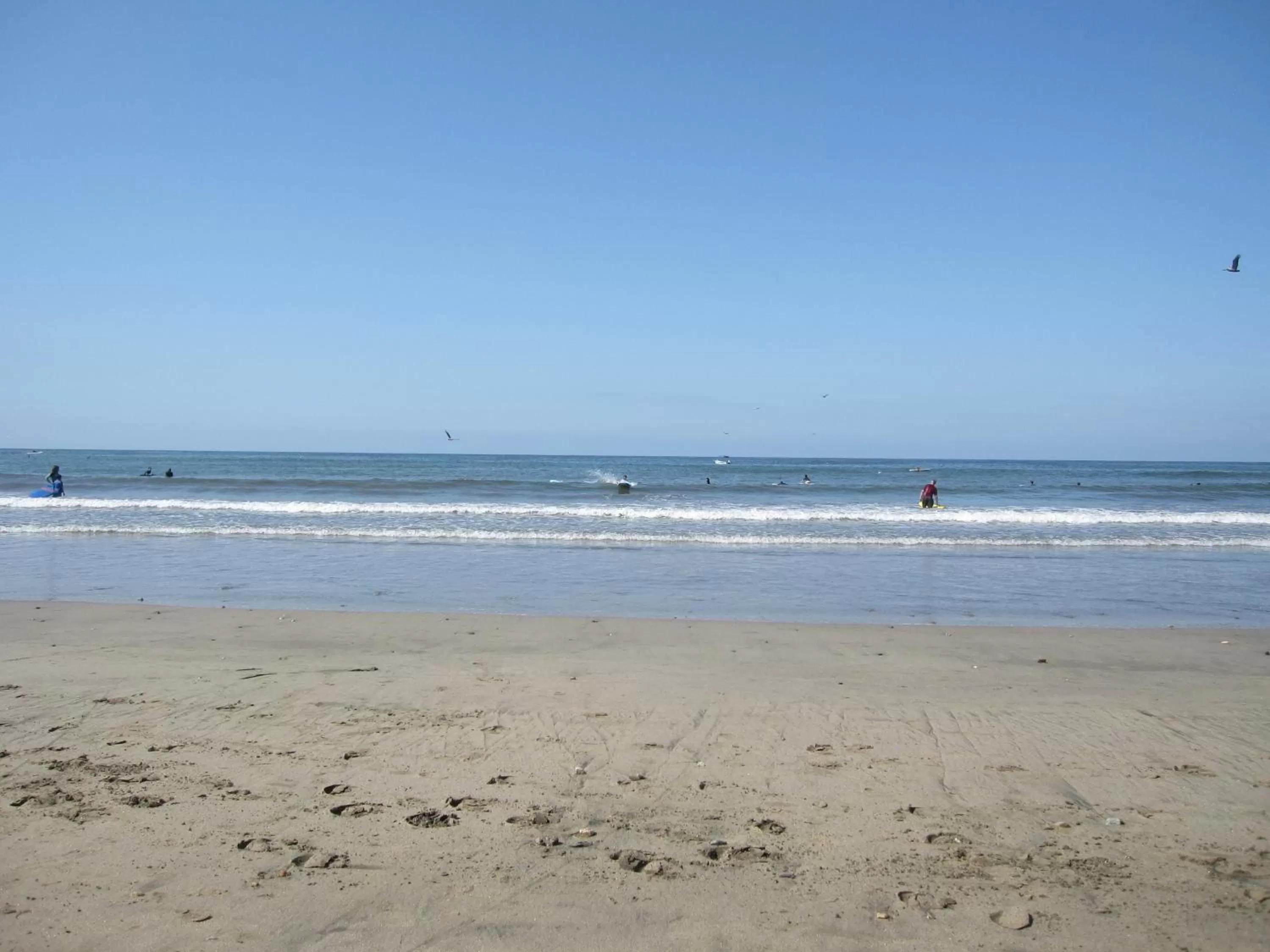 Beach in Casa Villa Magnolia B&B