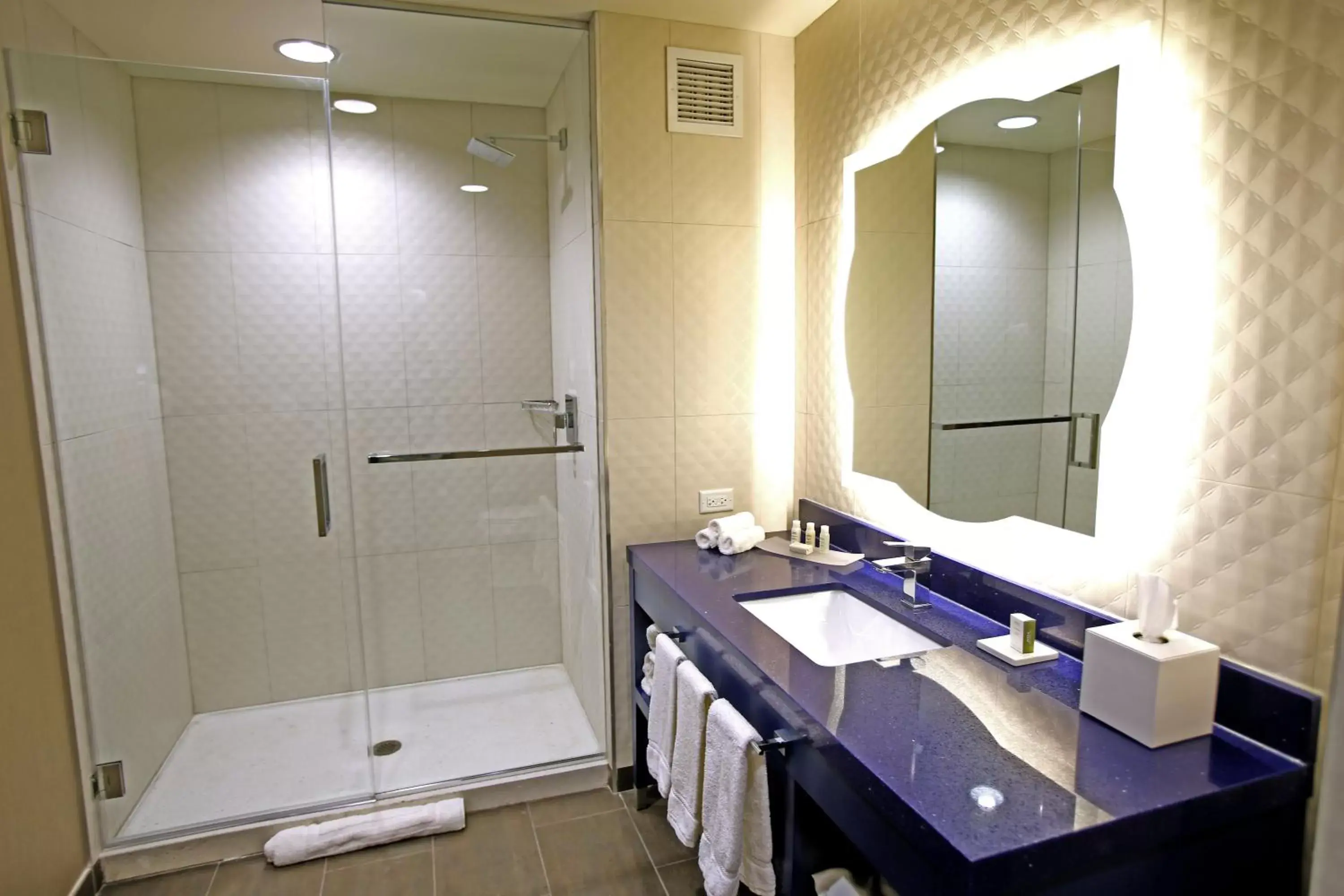 Bathroom in Hotel Indigo Naperville Riverwalk, an IHG Hotel