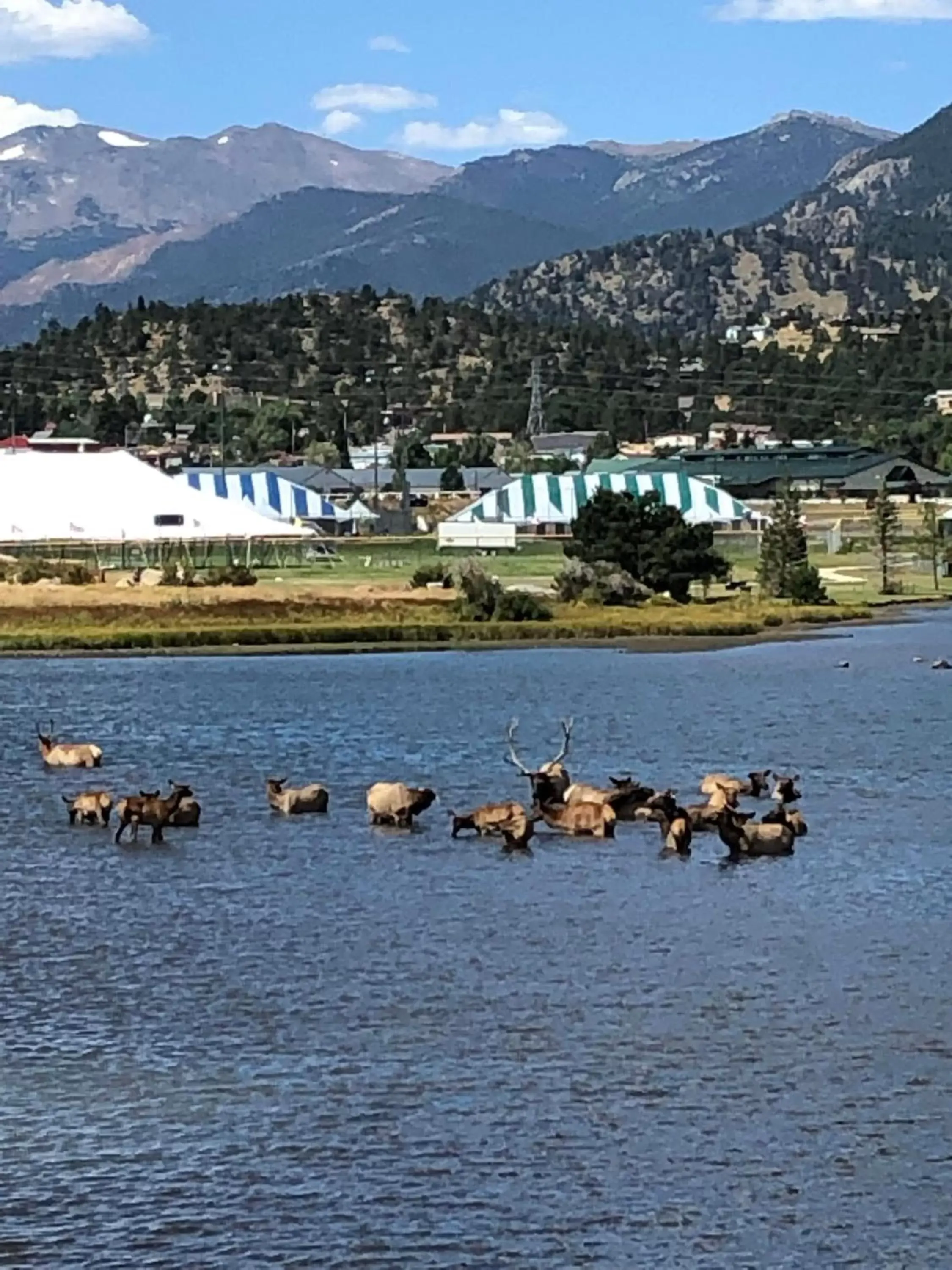 Estes Lake Lodge