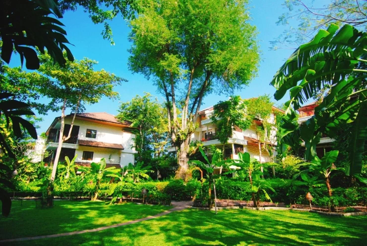 Property building in Birds and Bees Resort