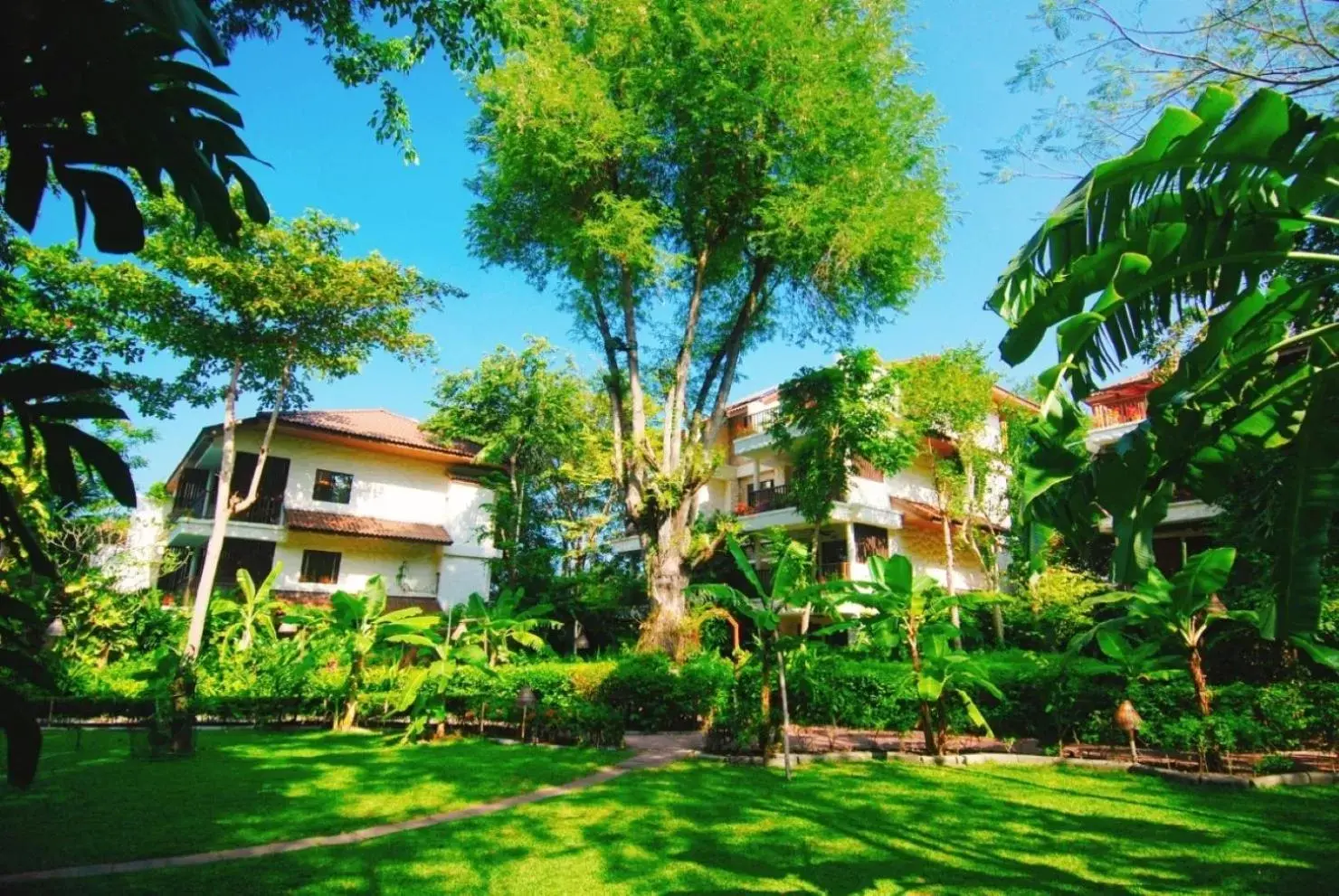 Property building in Birds and Bees Resort Property building in Birds and Bees Resort