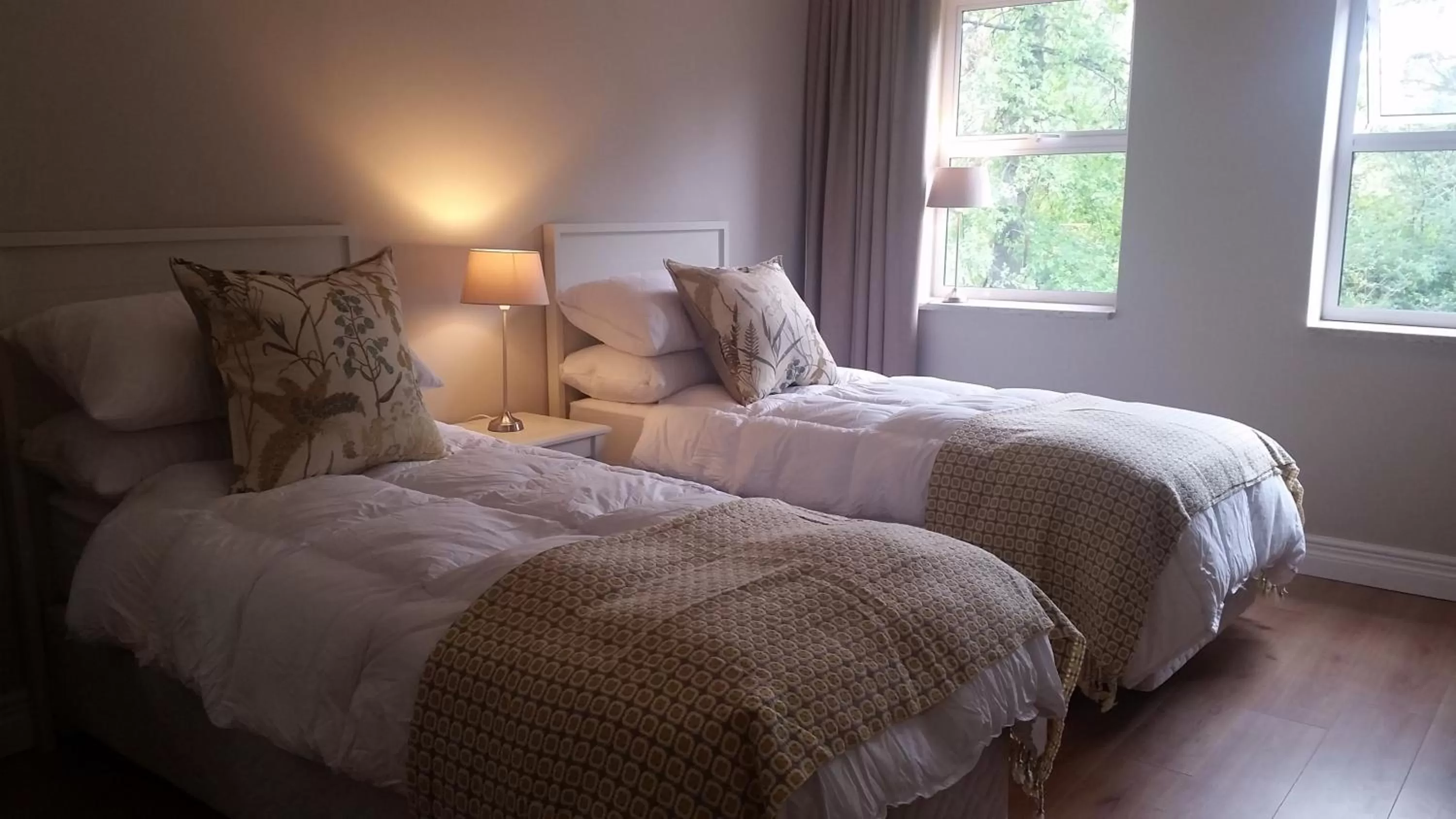 Bed in Amberhall Guesthouse