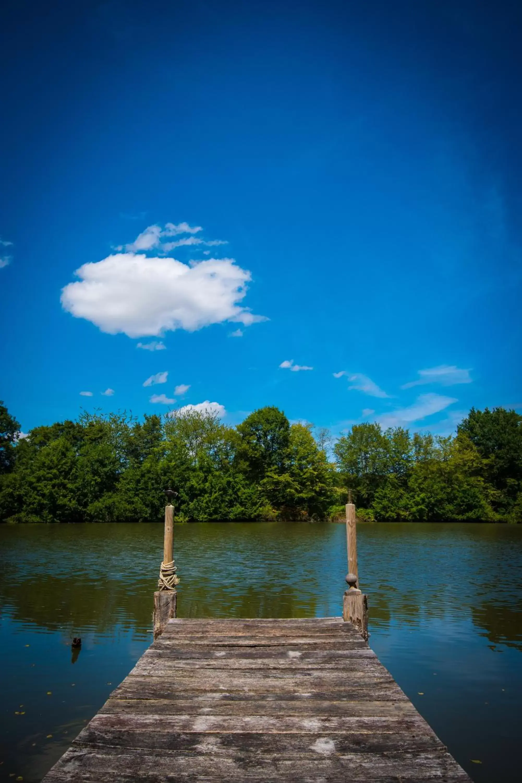 Natural landscape, Lake View in Domaine de La Groirie - Le Mans