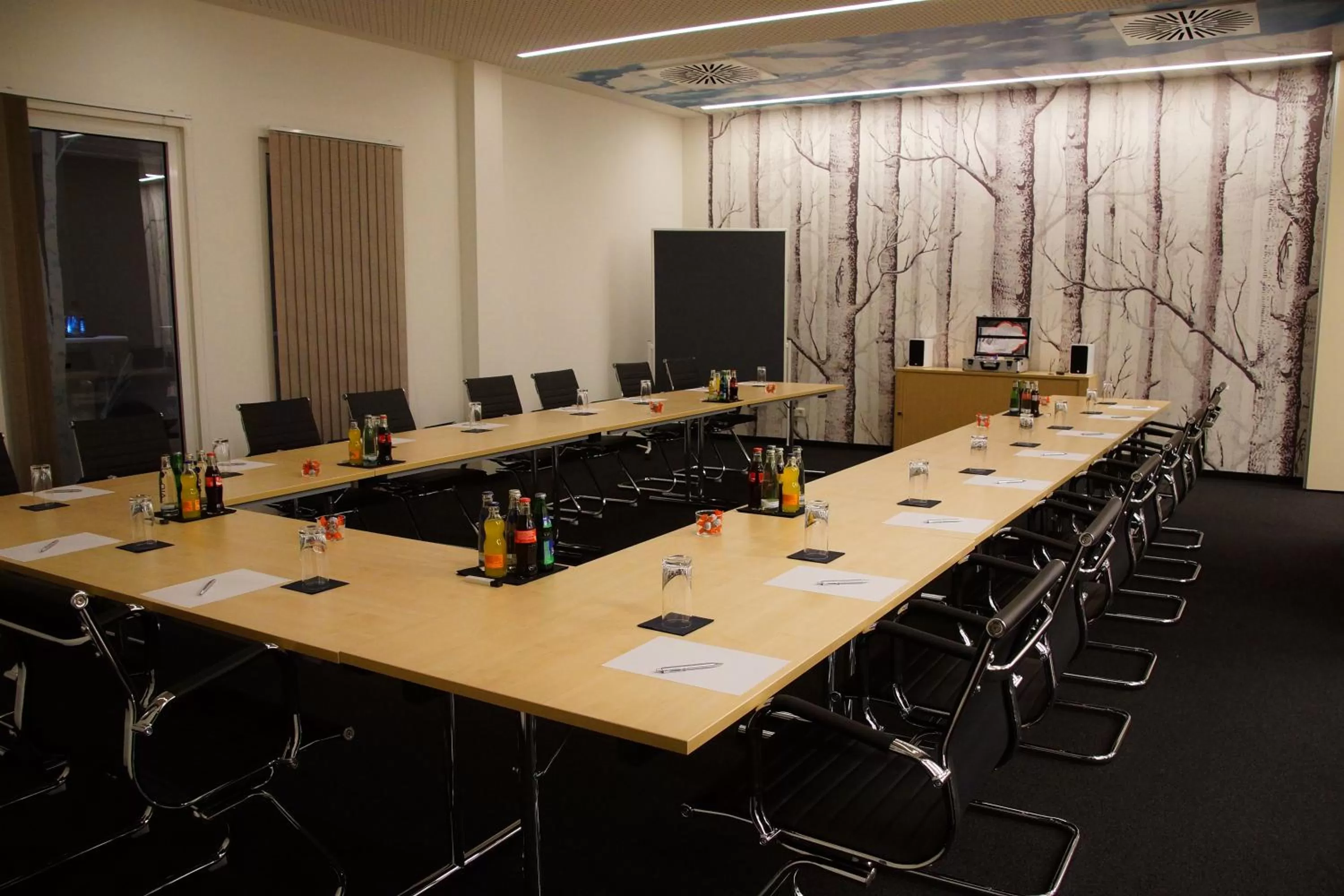 Meeting/conference room in Centrale Hotel und Restaurant