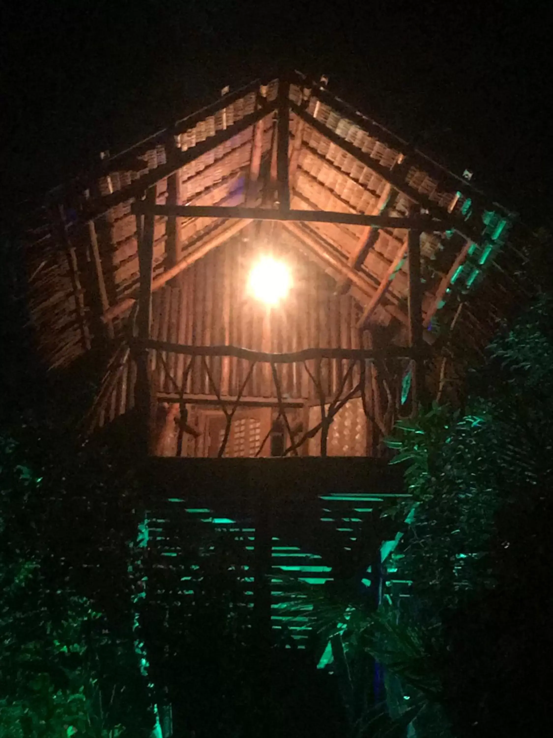 Property Building in Sanctuaria Treehouses Busuanga