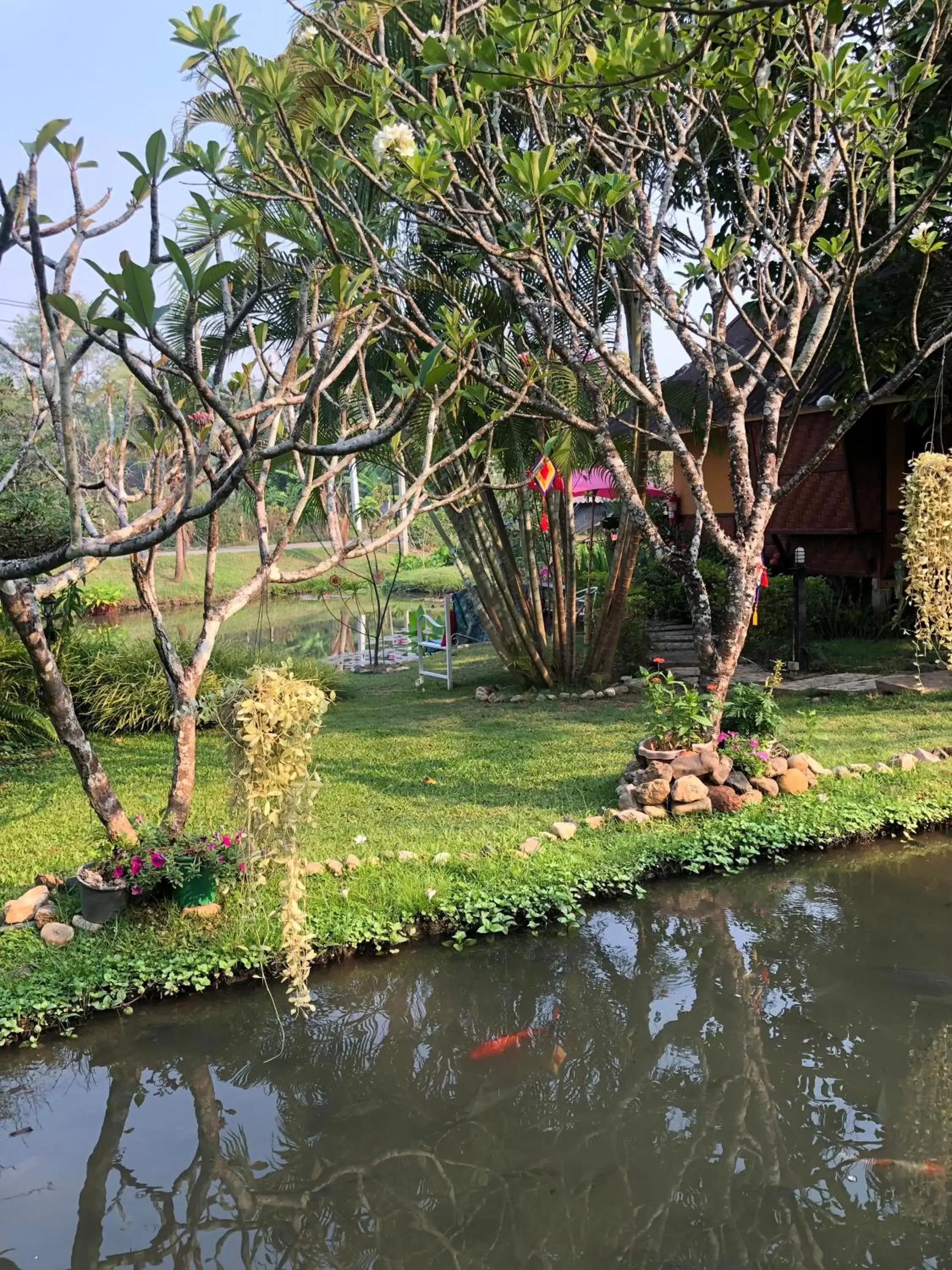 Natural landscape, Garden in Pura Vida Pai Resort