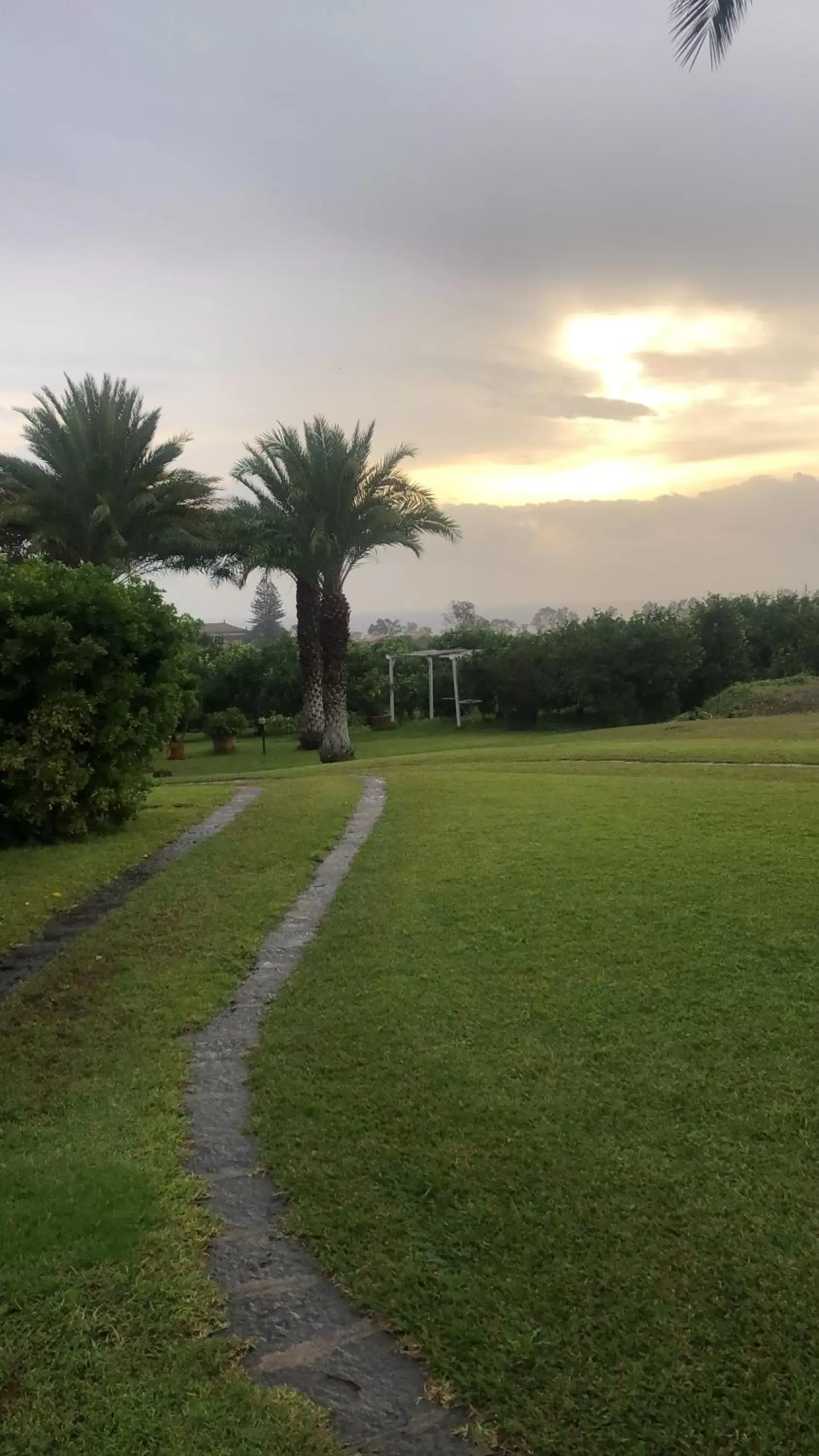 Garden in Torre Archirafi Resort