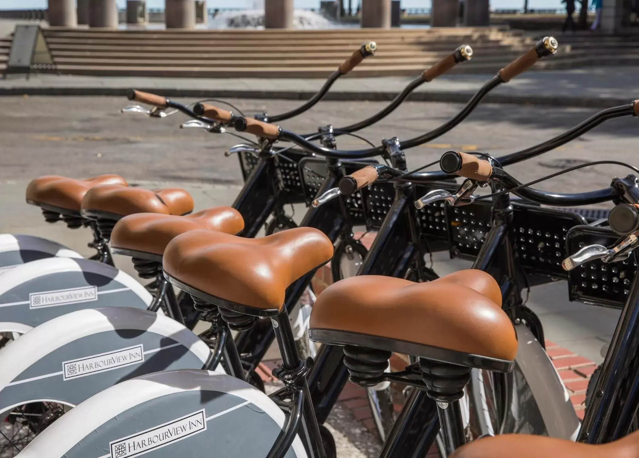 Cycling in Harbourview Inn Cycling in Harbourview Inn