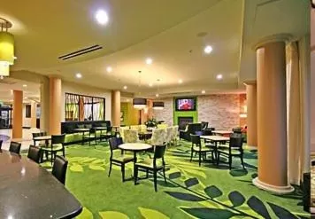 Lobby or reception in Fairfield Inn Suites Elkin Jonesville