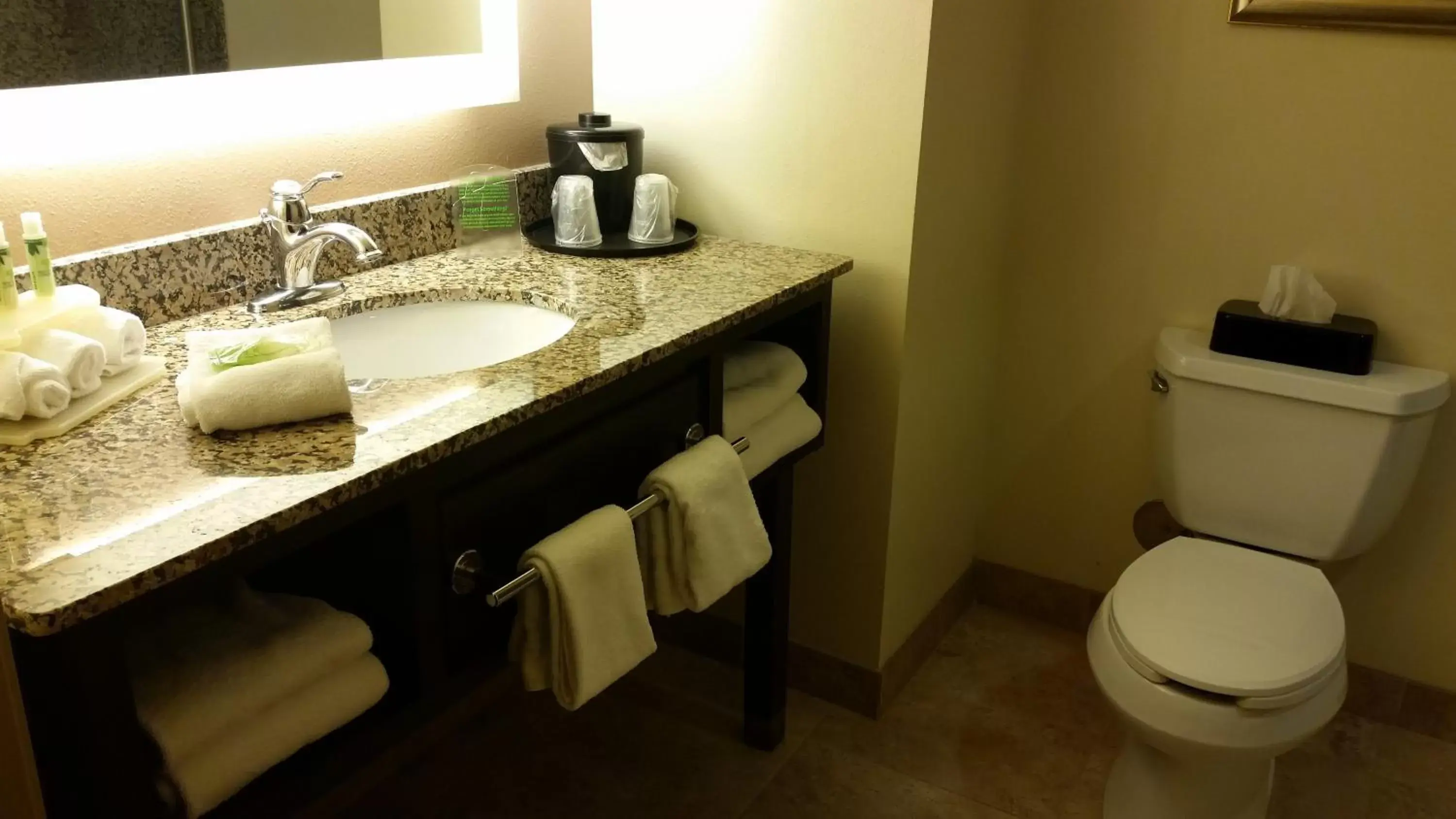 Bathroom in Holiday Inn Express and Suites Missoula, an IHG Hotel