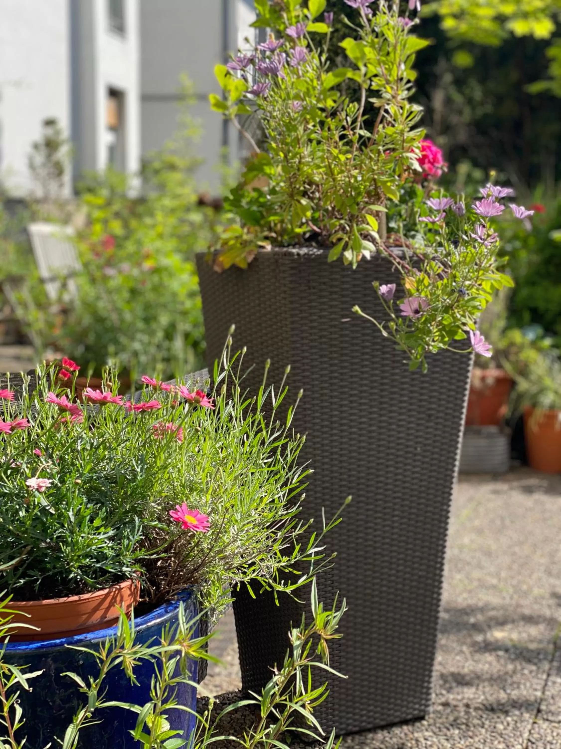 Garden view in Hotel Cascade Superior
