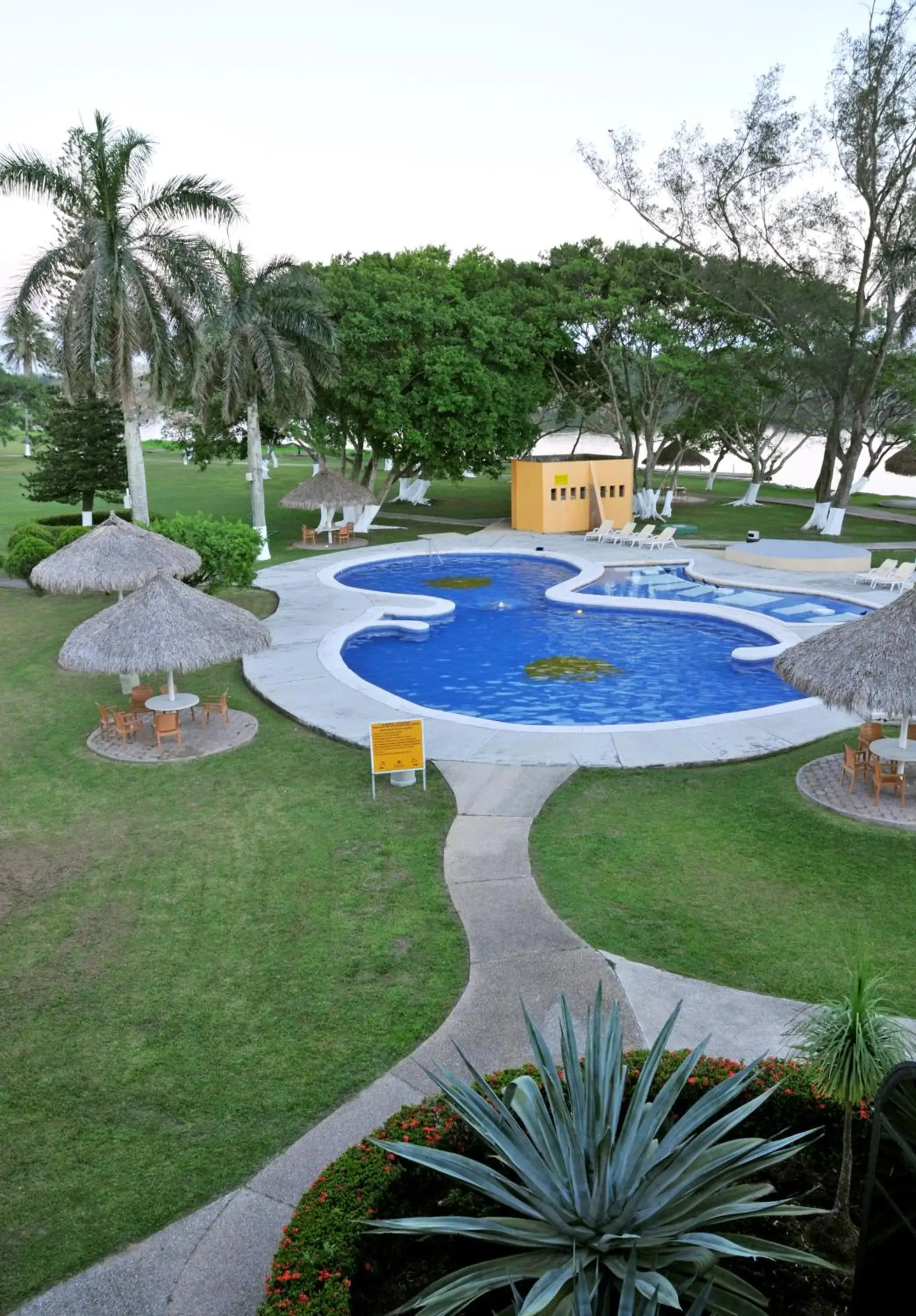 Swimming pool, Garden in Hotel Terranova