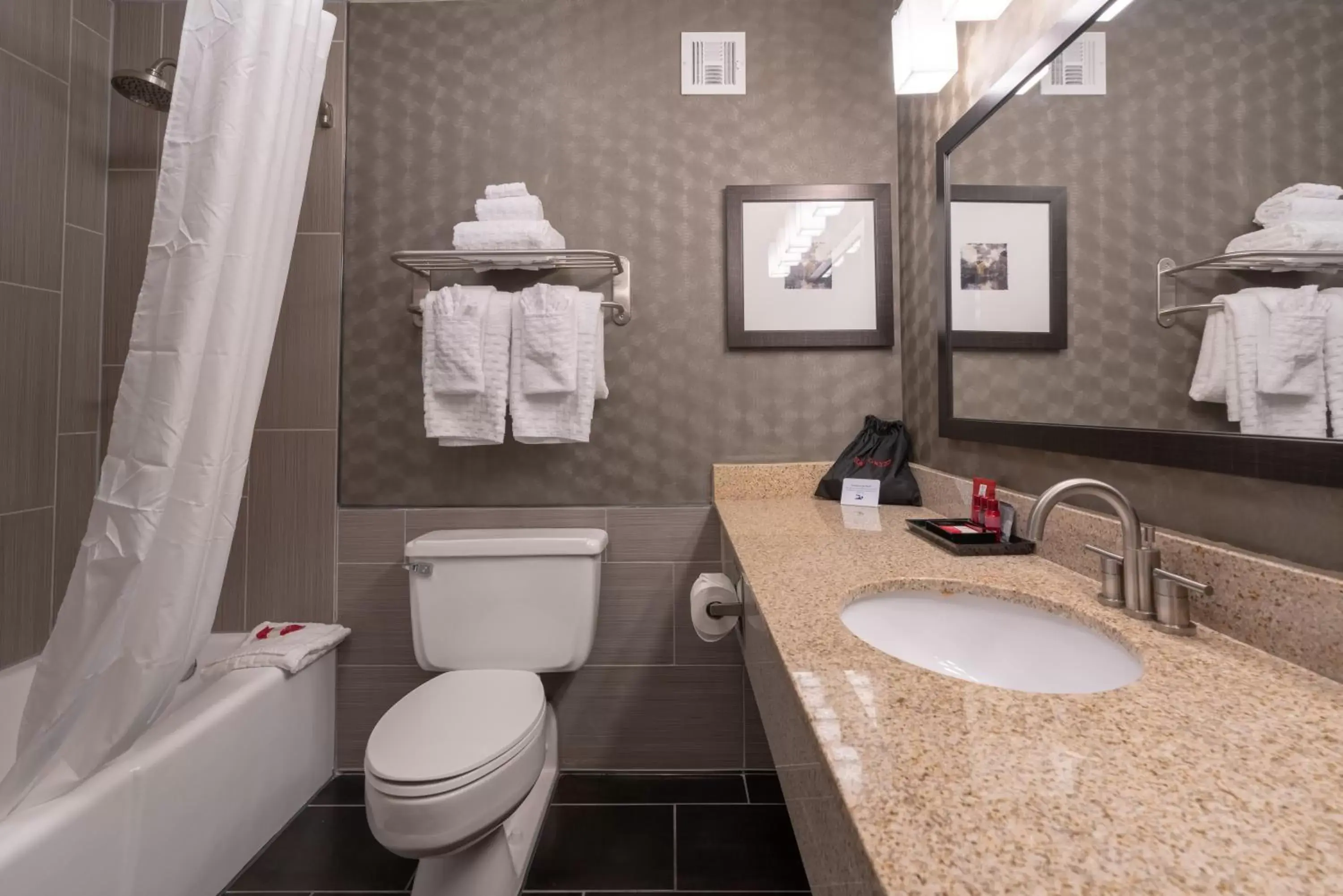 Shower, Bathroom in Best Western Premier Airport/Expo Center Hotel