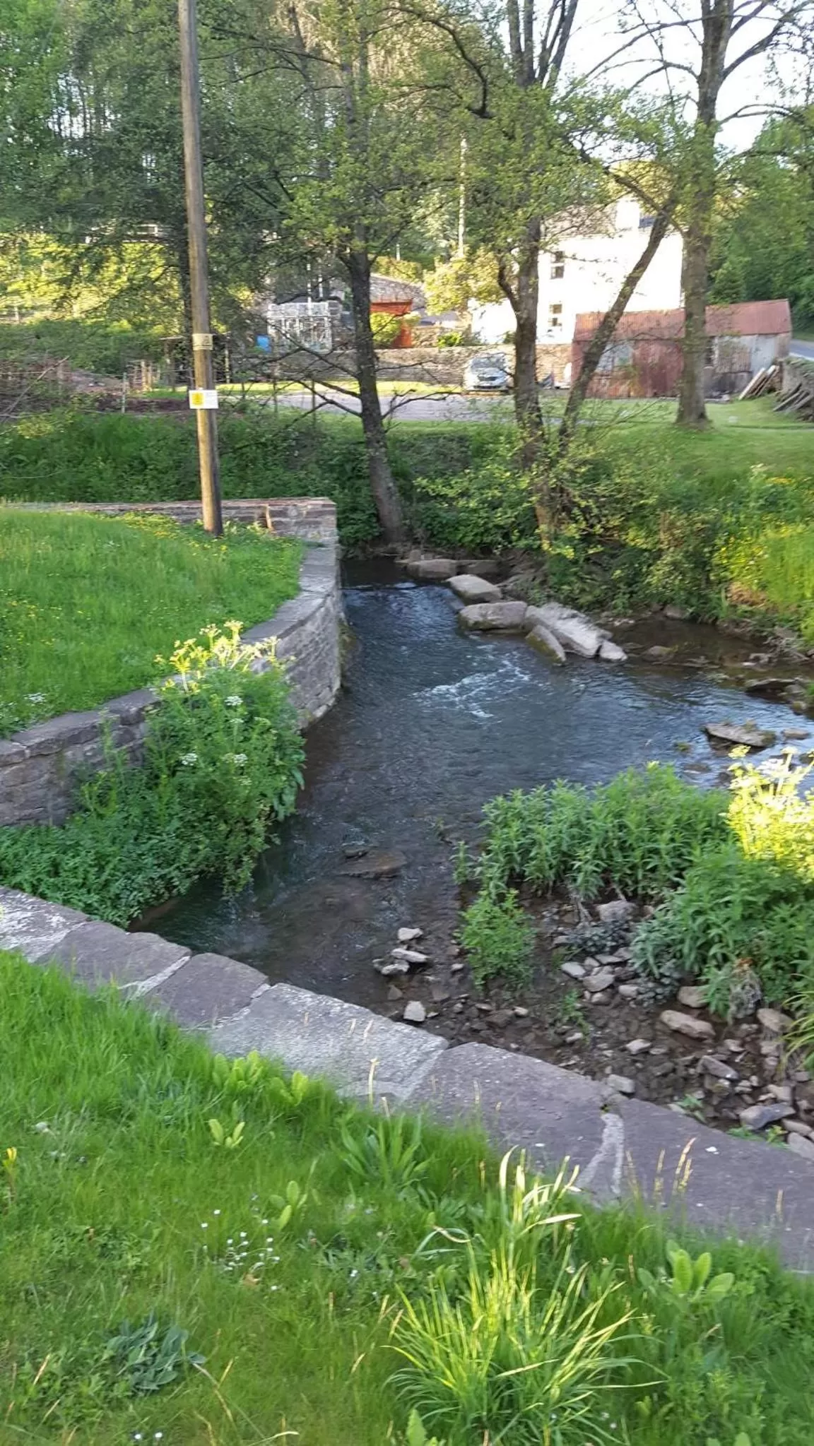 Garden view in Swan House Tea Room and Bed & Breakfast