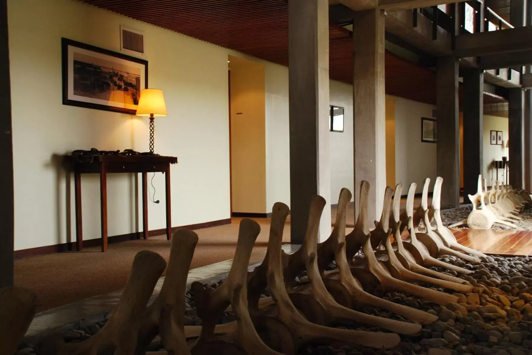 Lobby or reception in Hotel Territorio Lobby or reception in Hotel Territorio