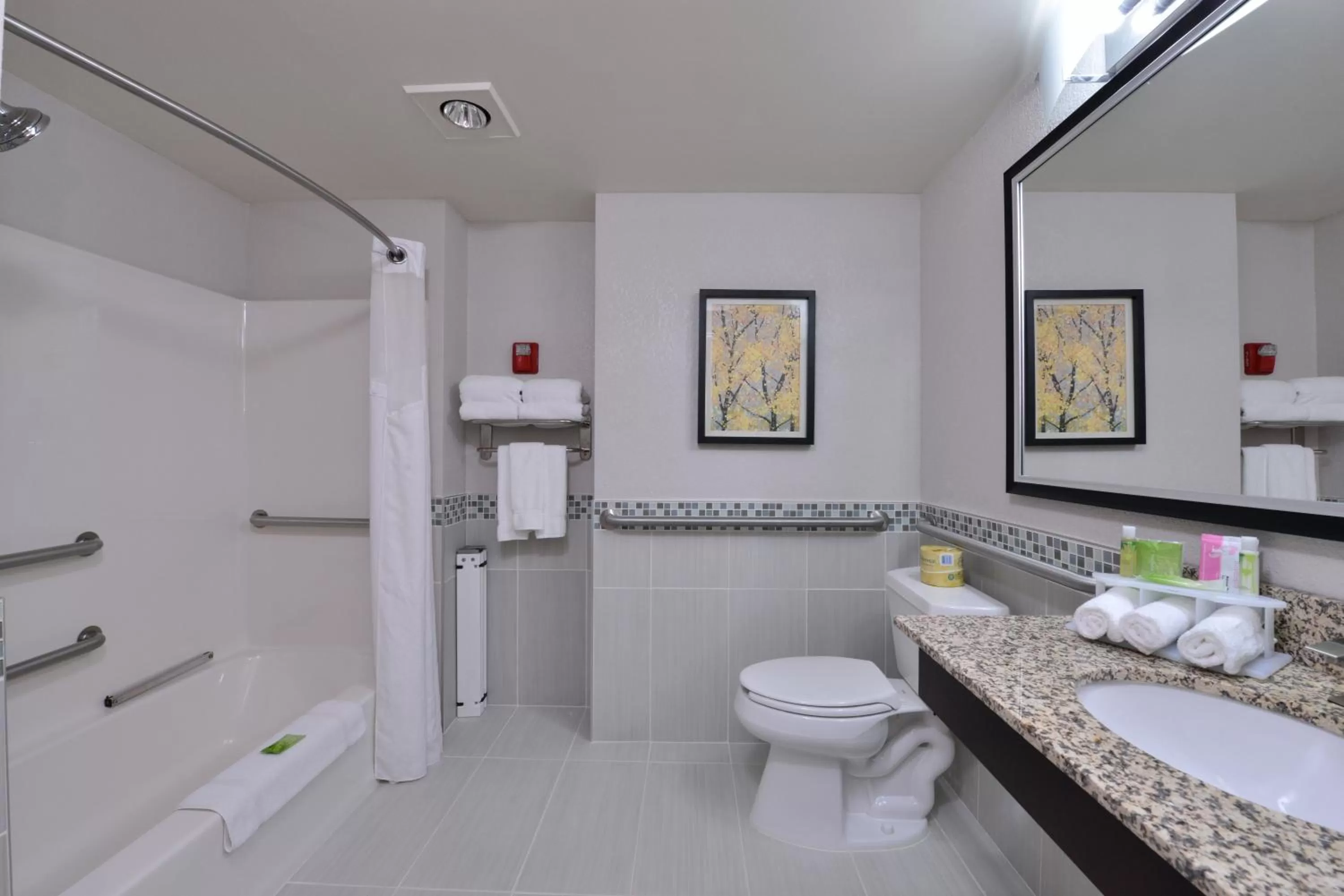 Bathroom in Holiday Inn Express Hotel & Suites Milwaukee-New Berlin by IHG