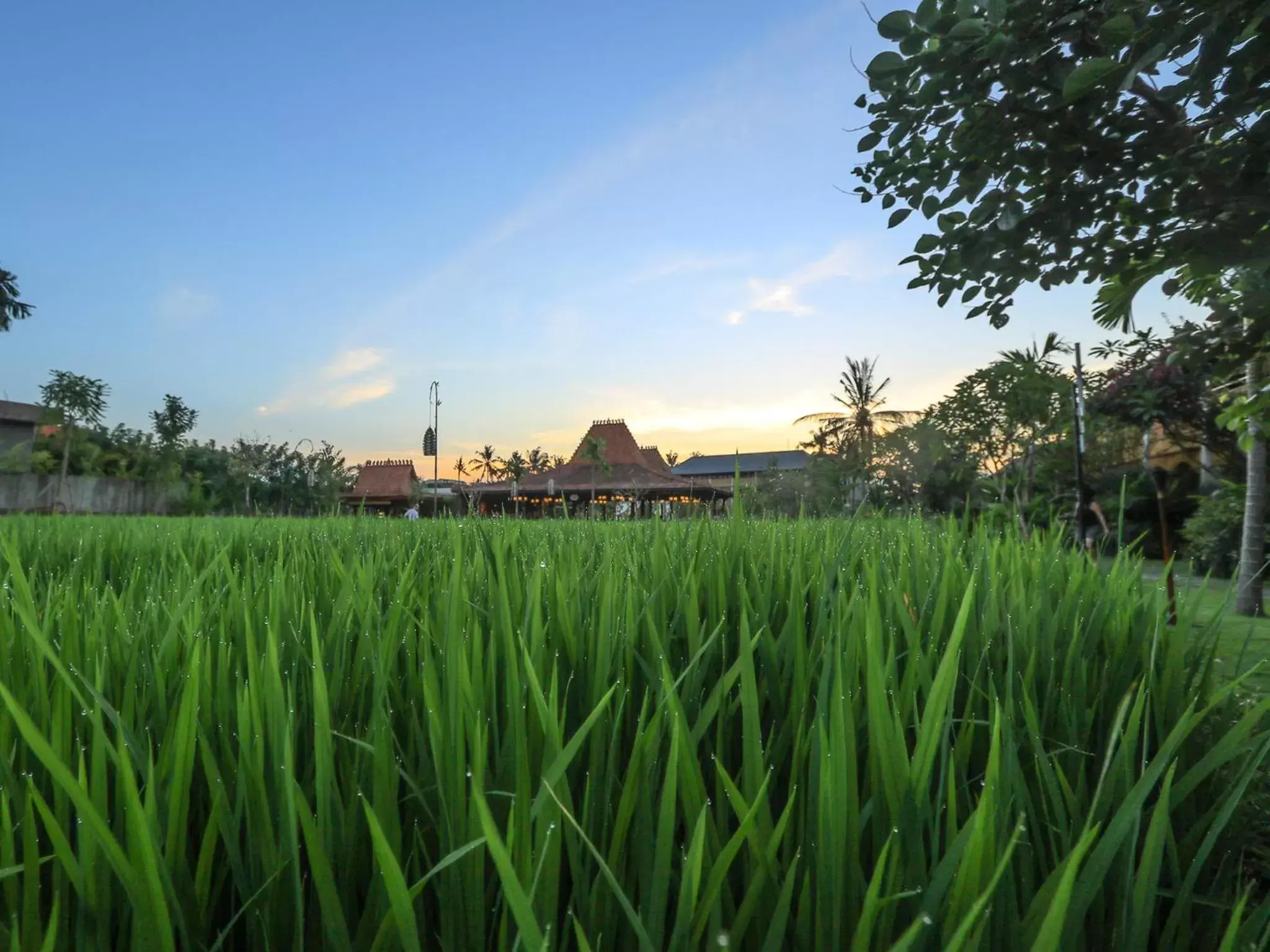 Nearby landmark in Alaya Resort Ubud