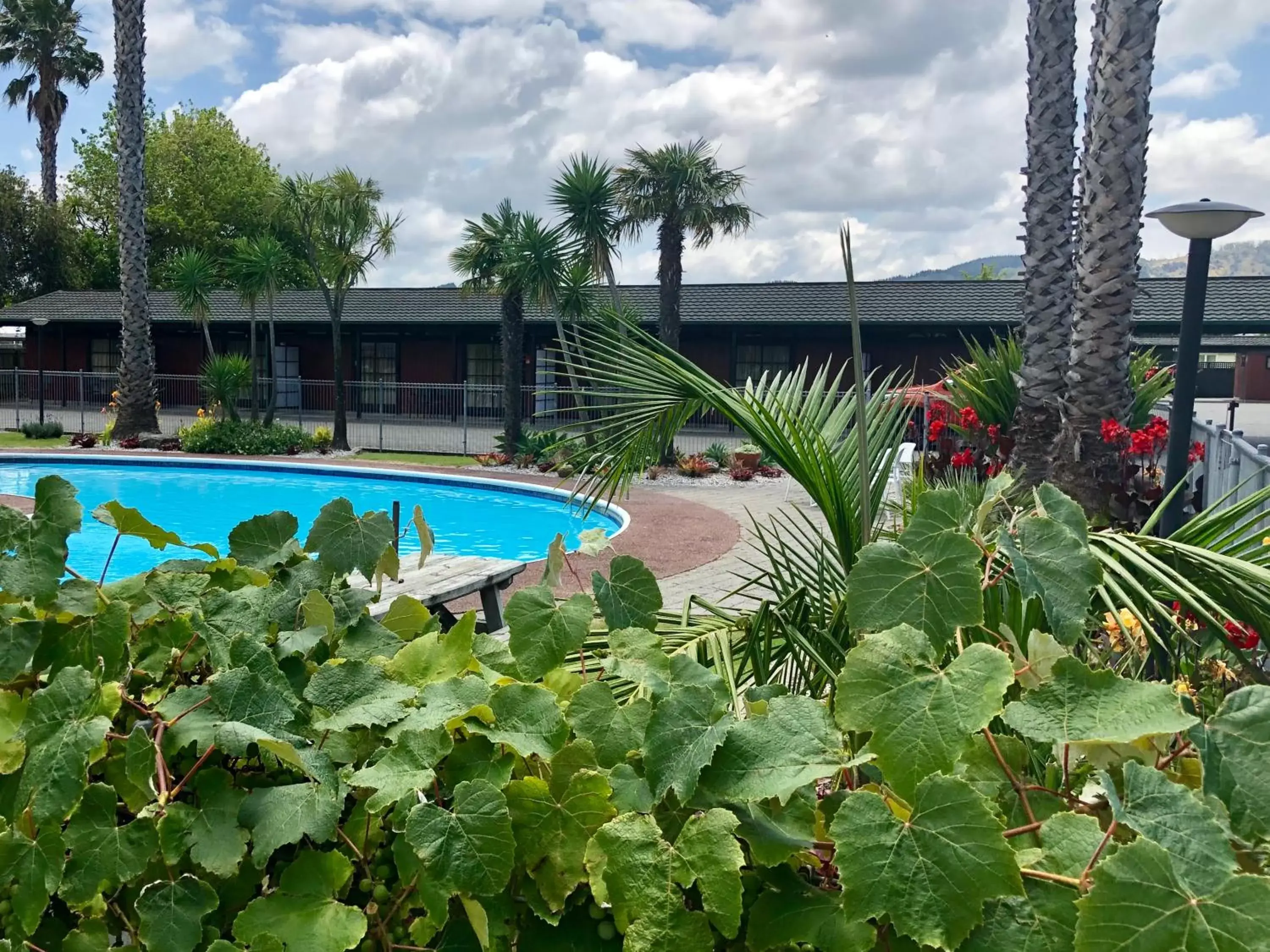 Swimming pool in Teal Motor Lodge Swimming pool in Teal Motor Lodge