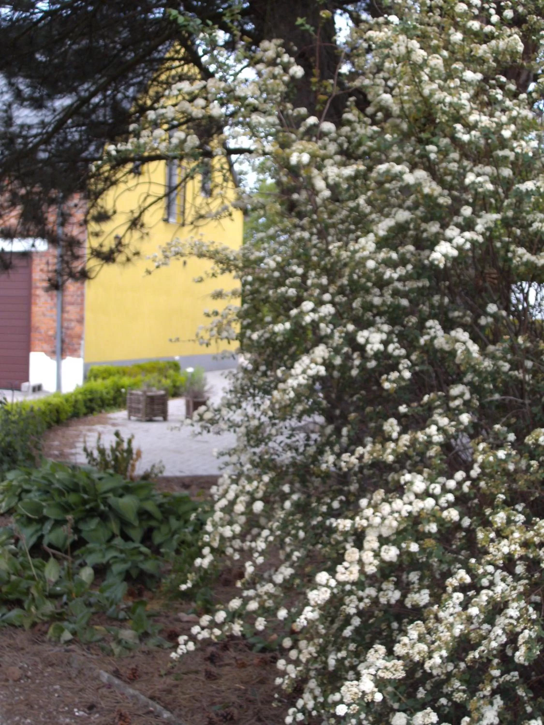 Decorative detail in B&B Het Uilennest