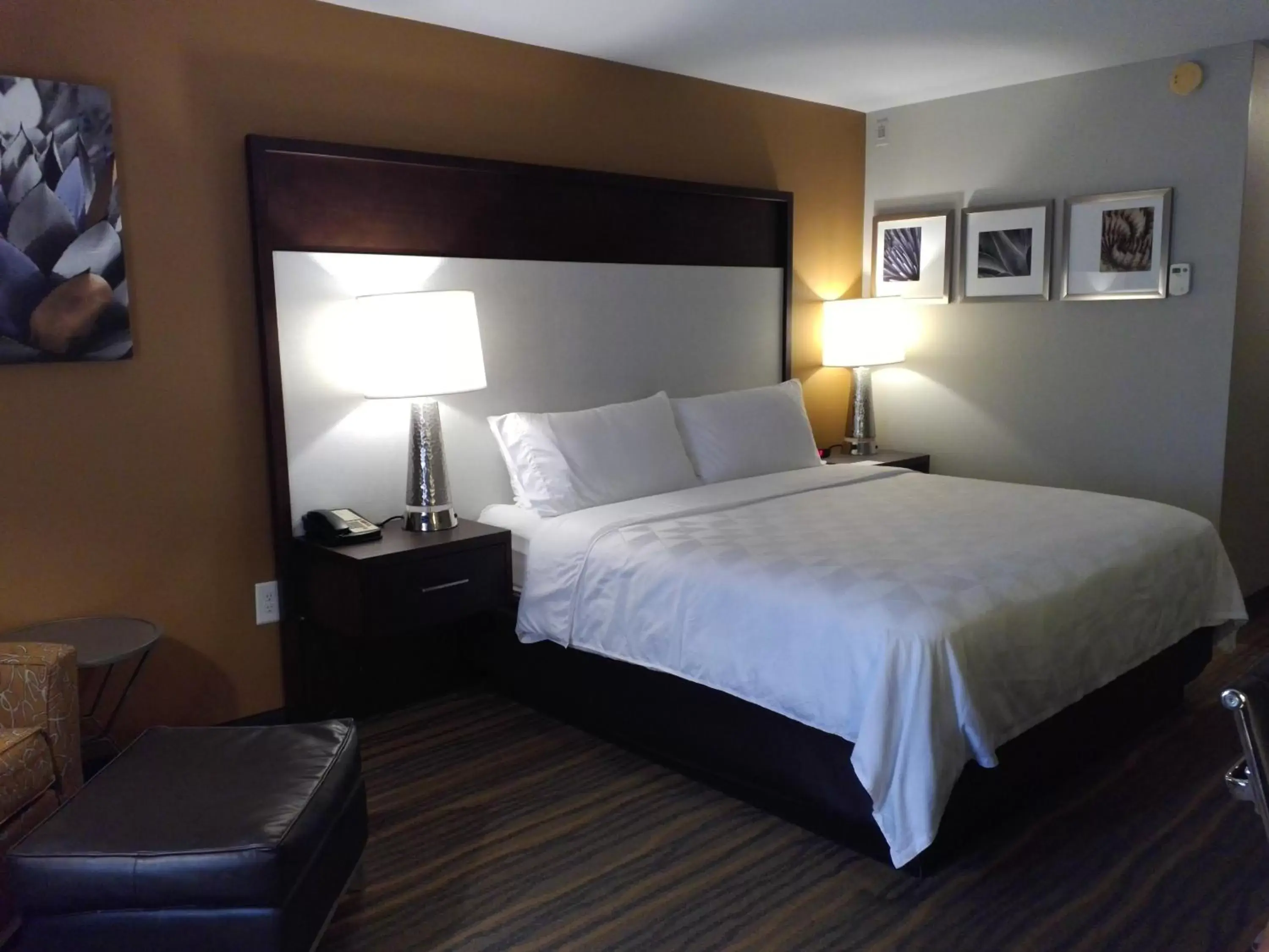 Bedroom, Bed in Holiday Inn Hotel and Suites Albuquerque - North Interstate 25, an IHG Hotel