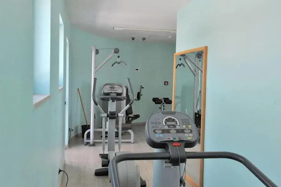 Fitness centre/facilities, Fitness Center/Facilities in Hotel Svevo