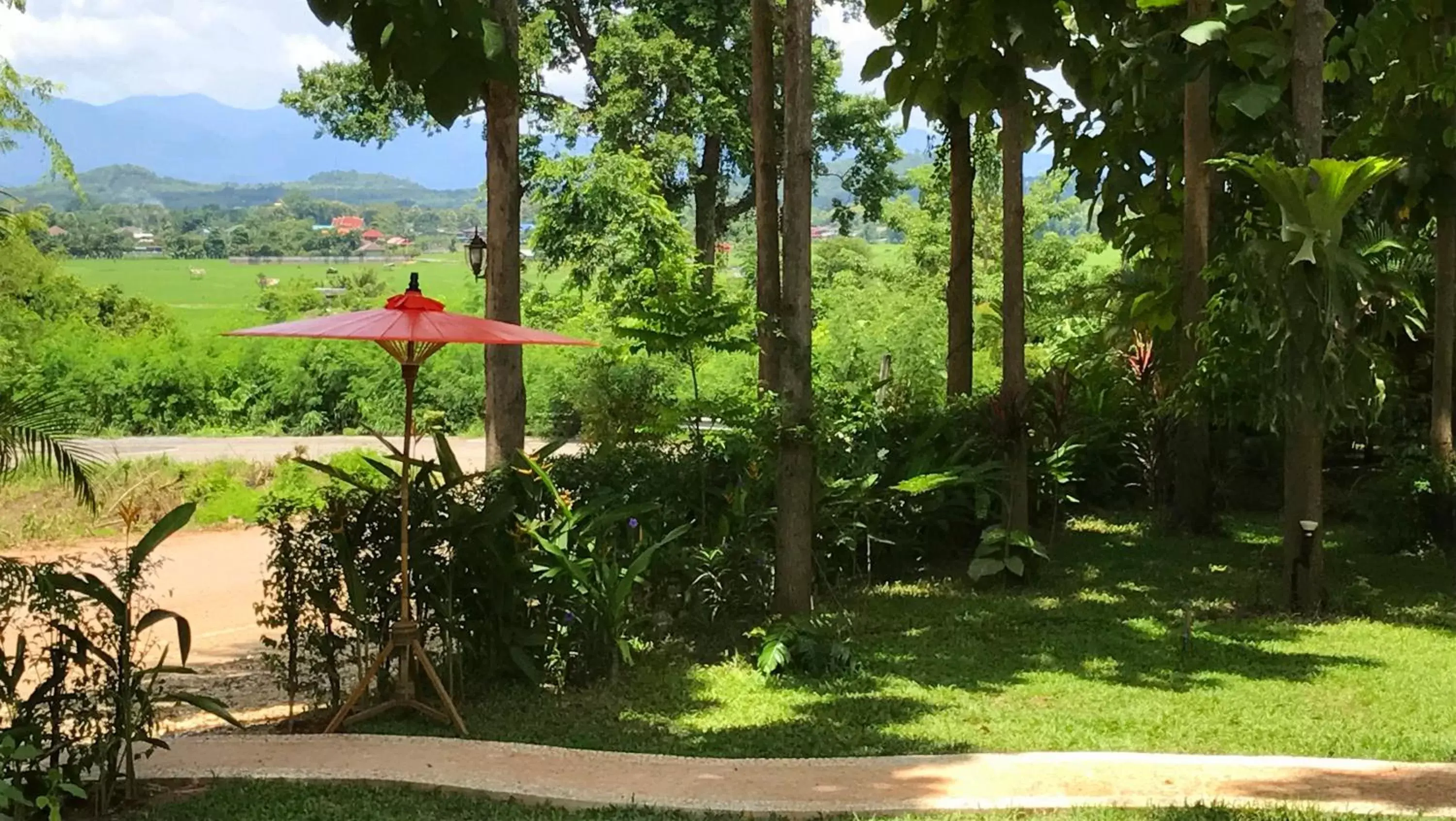 Natural landscape, Garden in Nan Seasons Boutique Resort