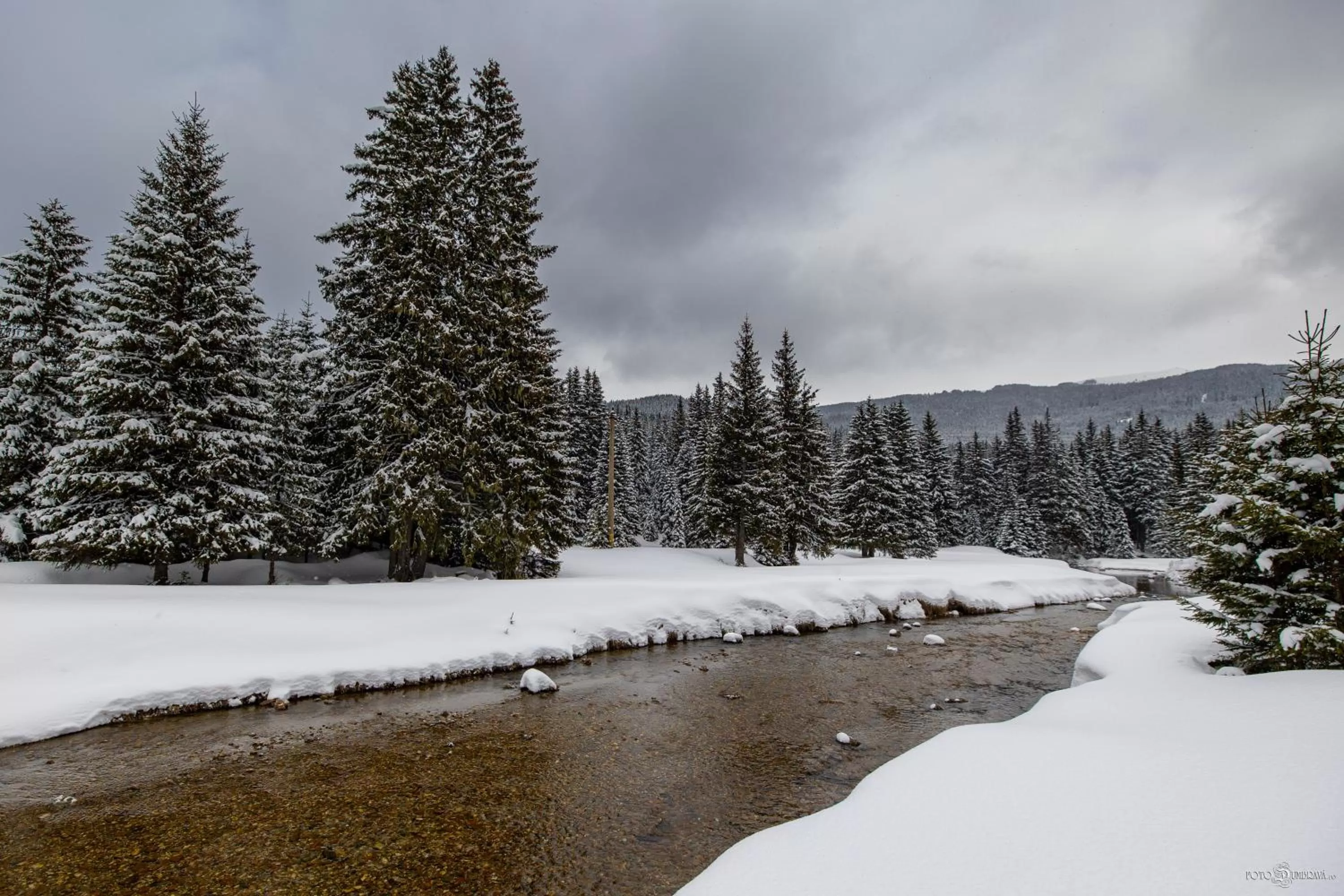 Natural landscape, Winter in Hotel Belmont