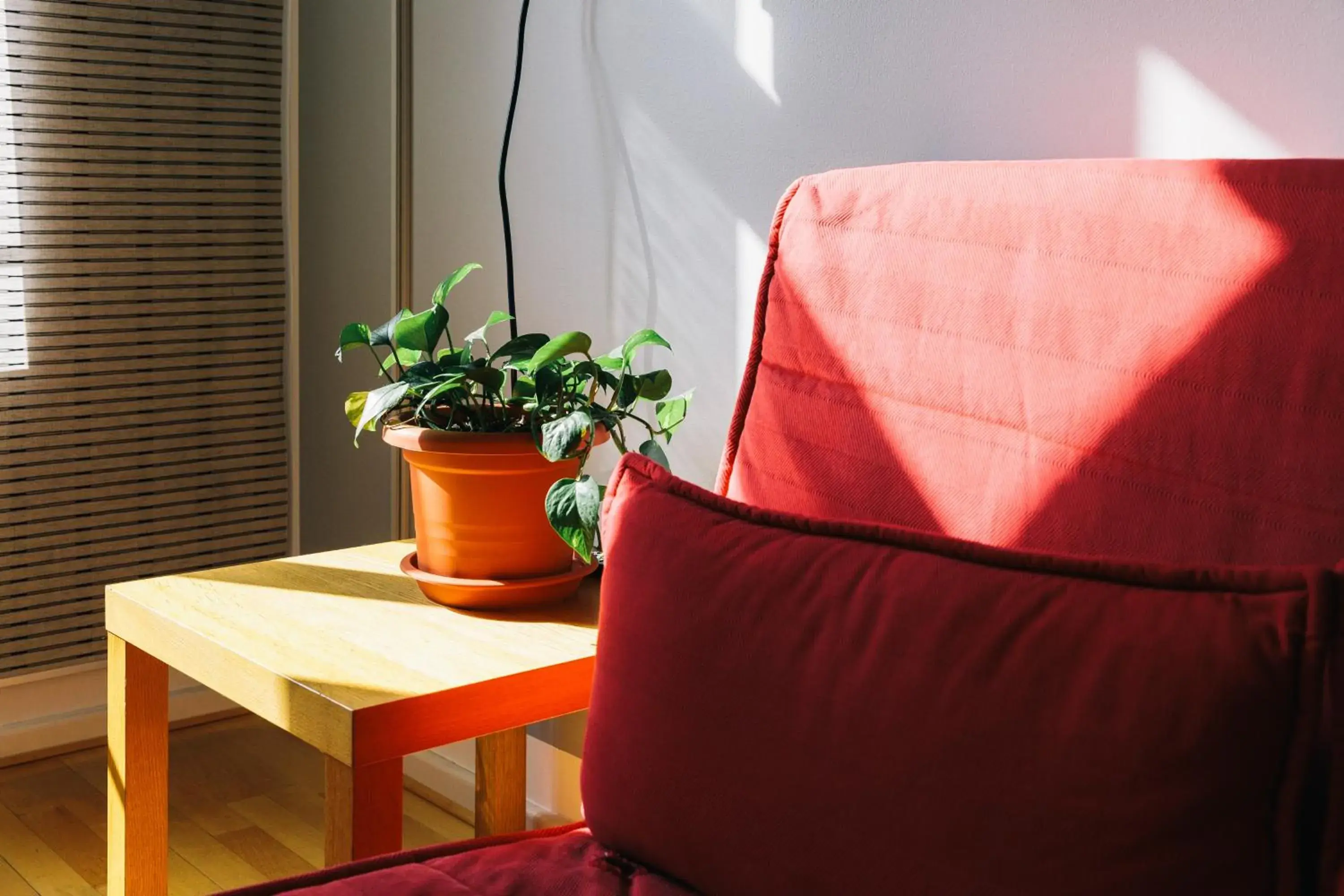 Living room in St Christopher's Apartments Living room in St Christopher's Apartments