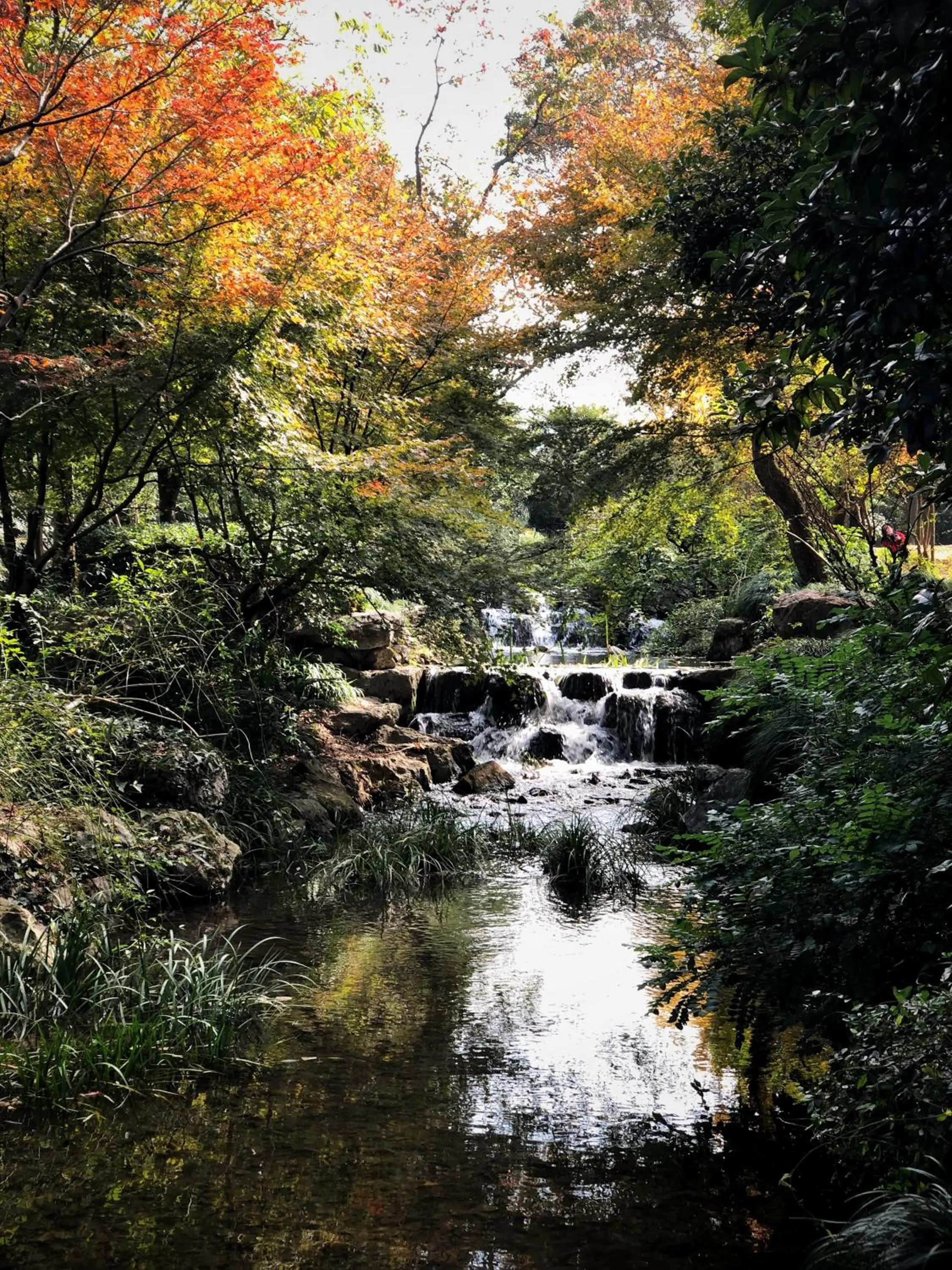 Natural landscape in Rock&Wood Cozy House