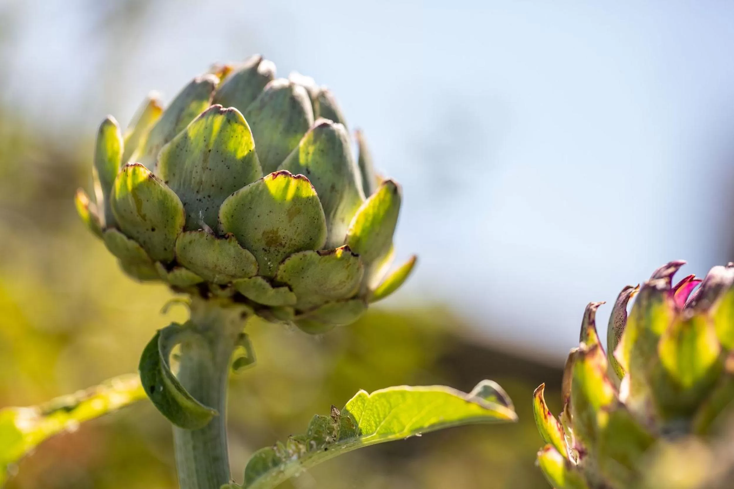 Property building in West Point House