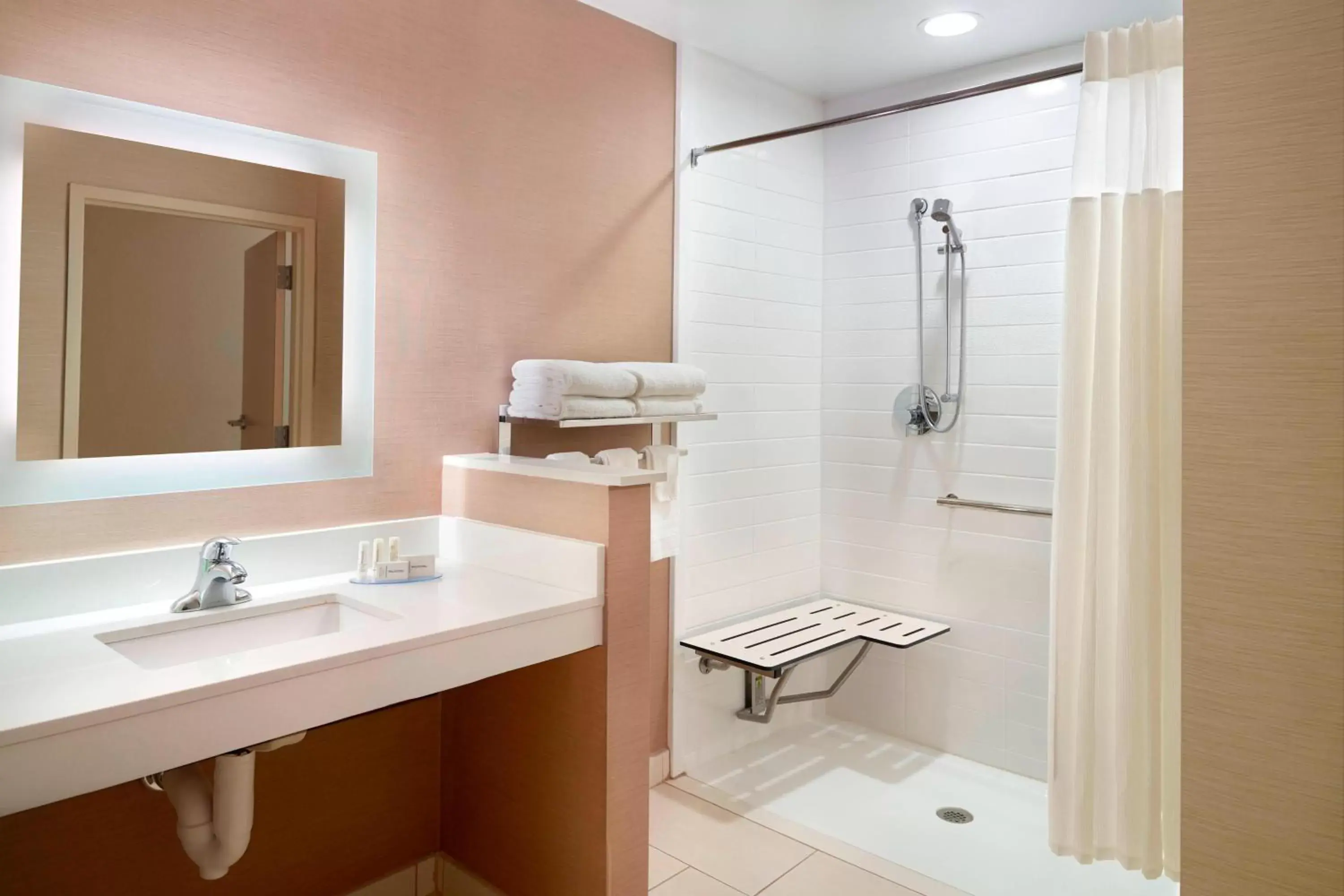 Bathroom in Fairfield Inn & Suites by Marriott Hendersonville Flat Rock