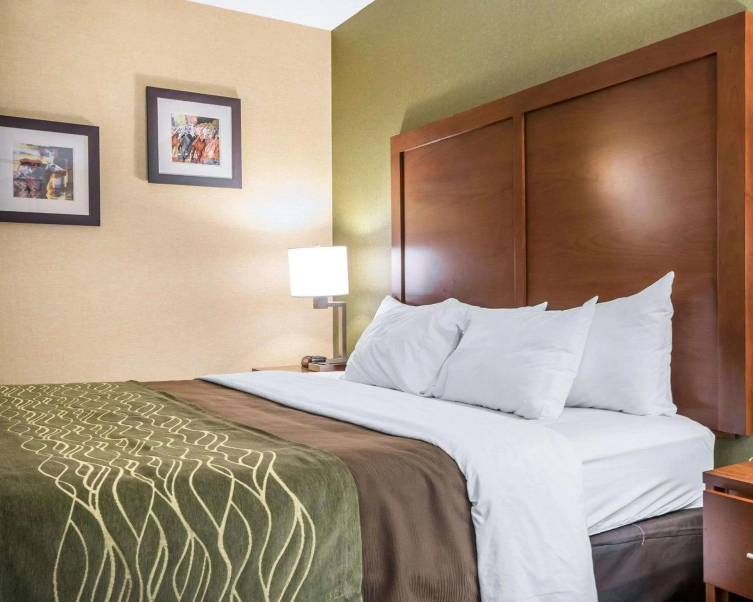 Photo of the whole room in Comfort Inn Winchester