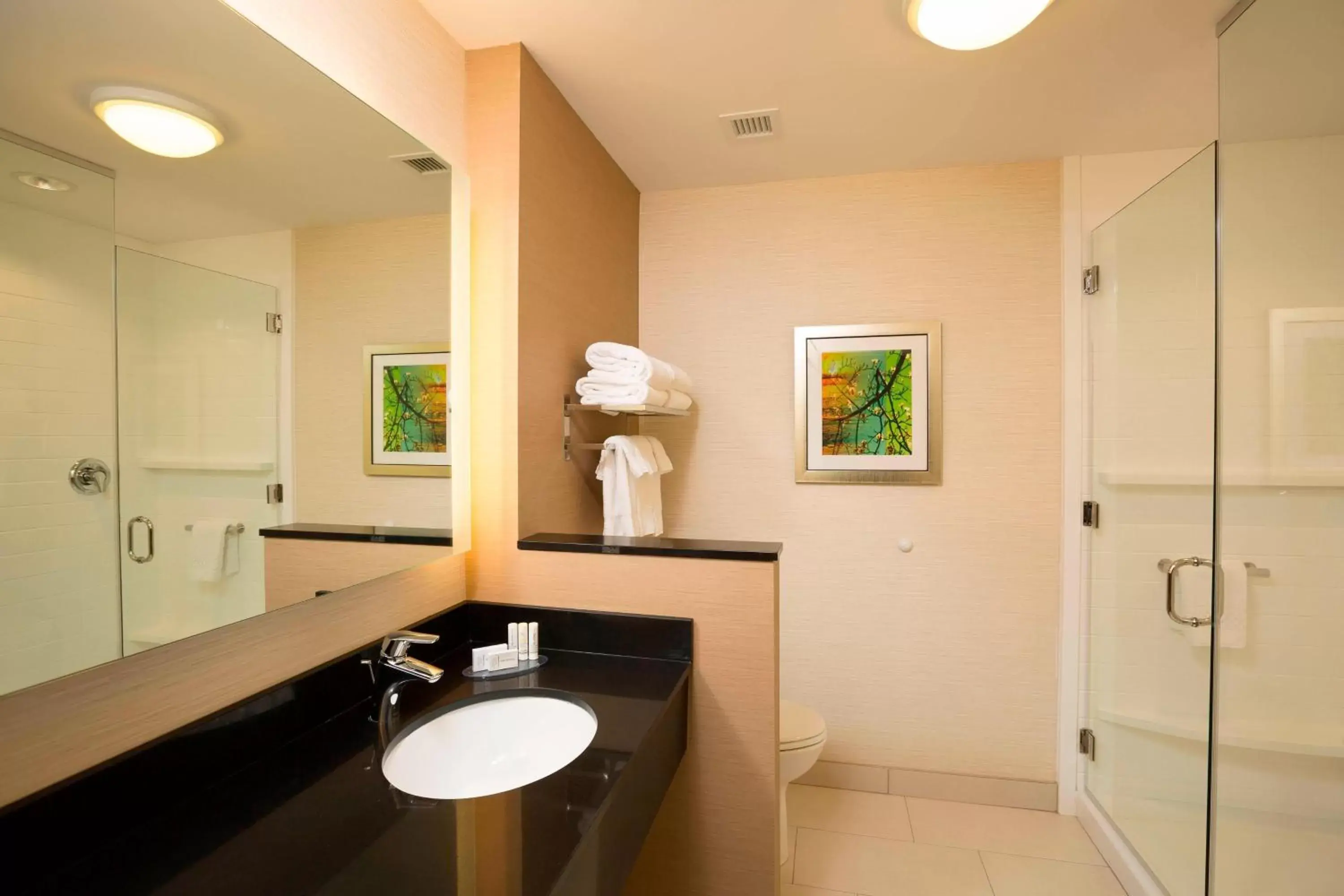 Bathroom in Fairfield Inn & Suites by Marriott Durango