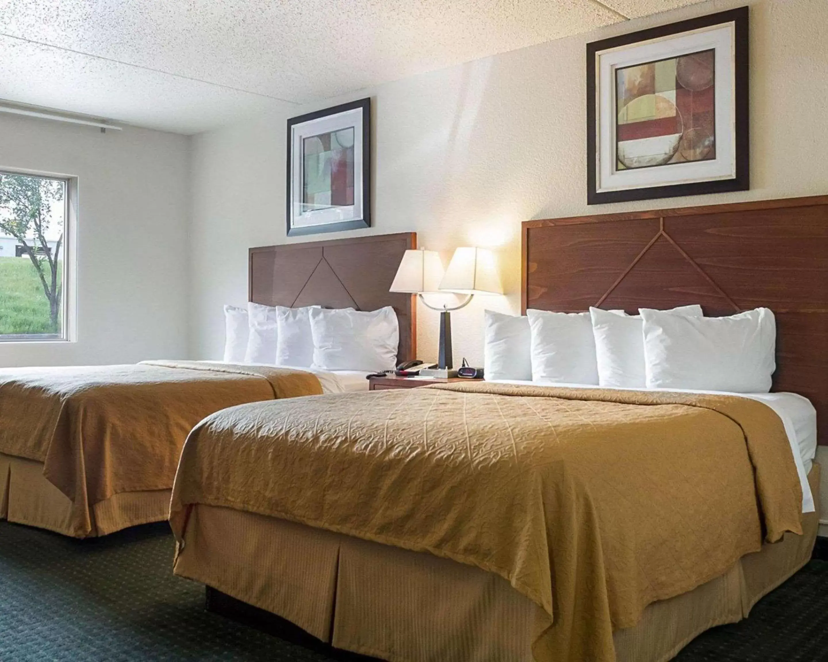 Photo of the whole room, Bed in Quality Inn & Suites Conference Center and Water Park