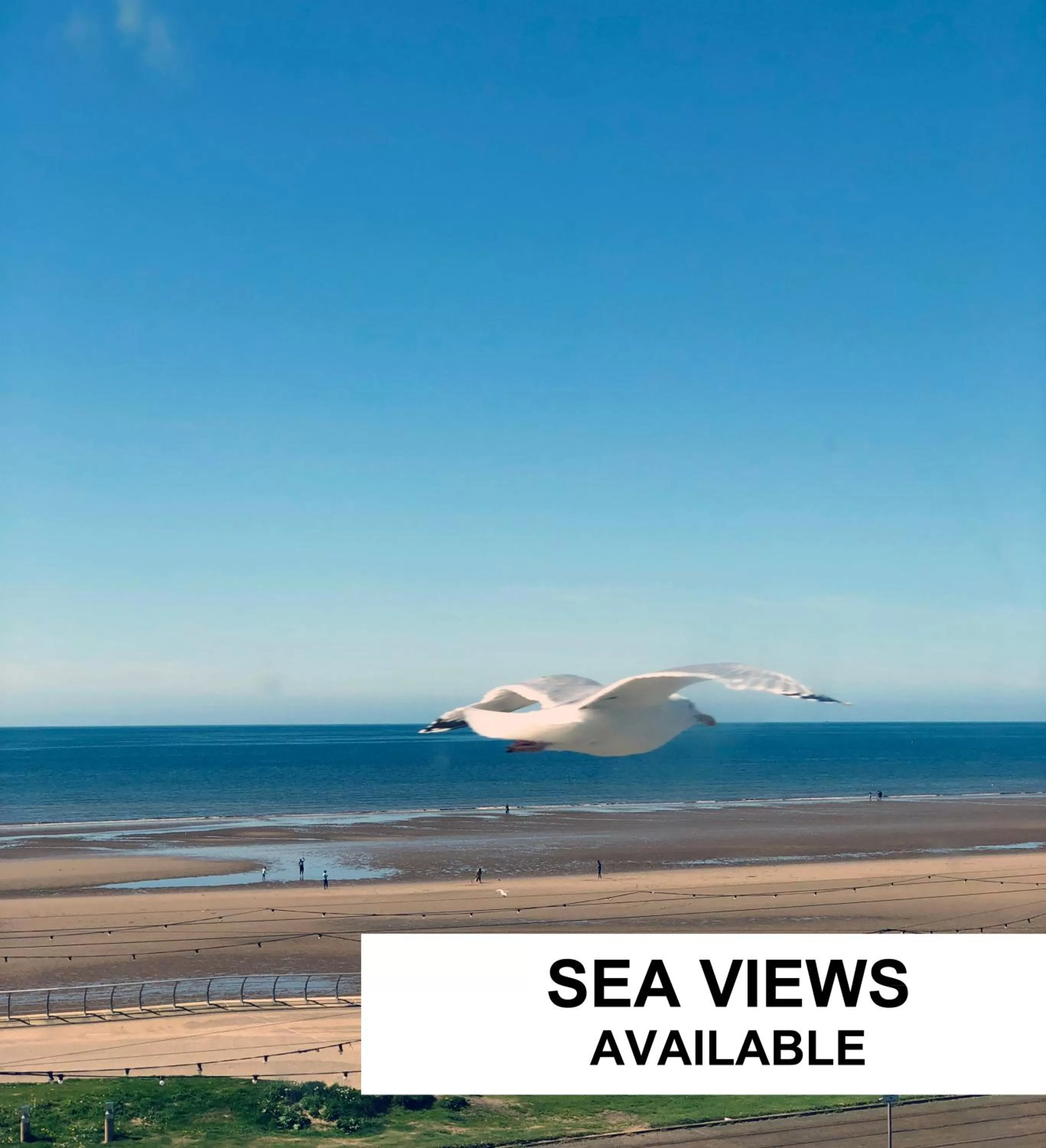 Beach in ApartHotel421 by Seafront Collection