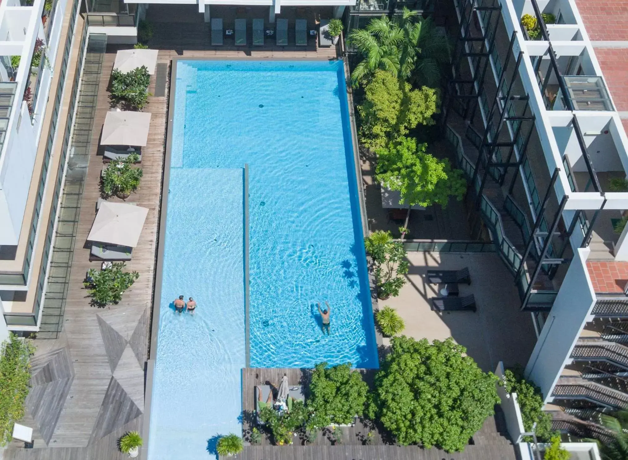 Swimming pool, Pool View in Somadevi Residence