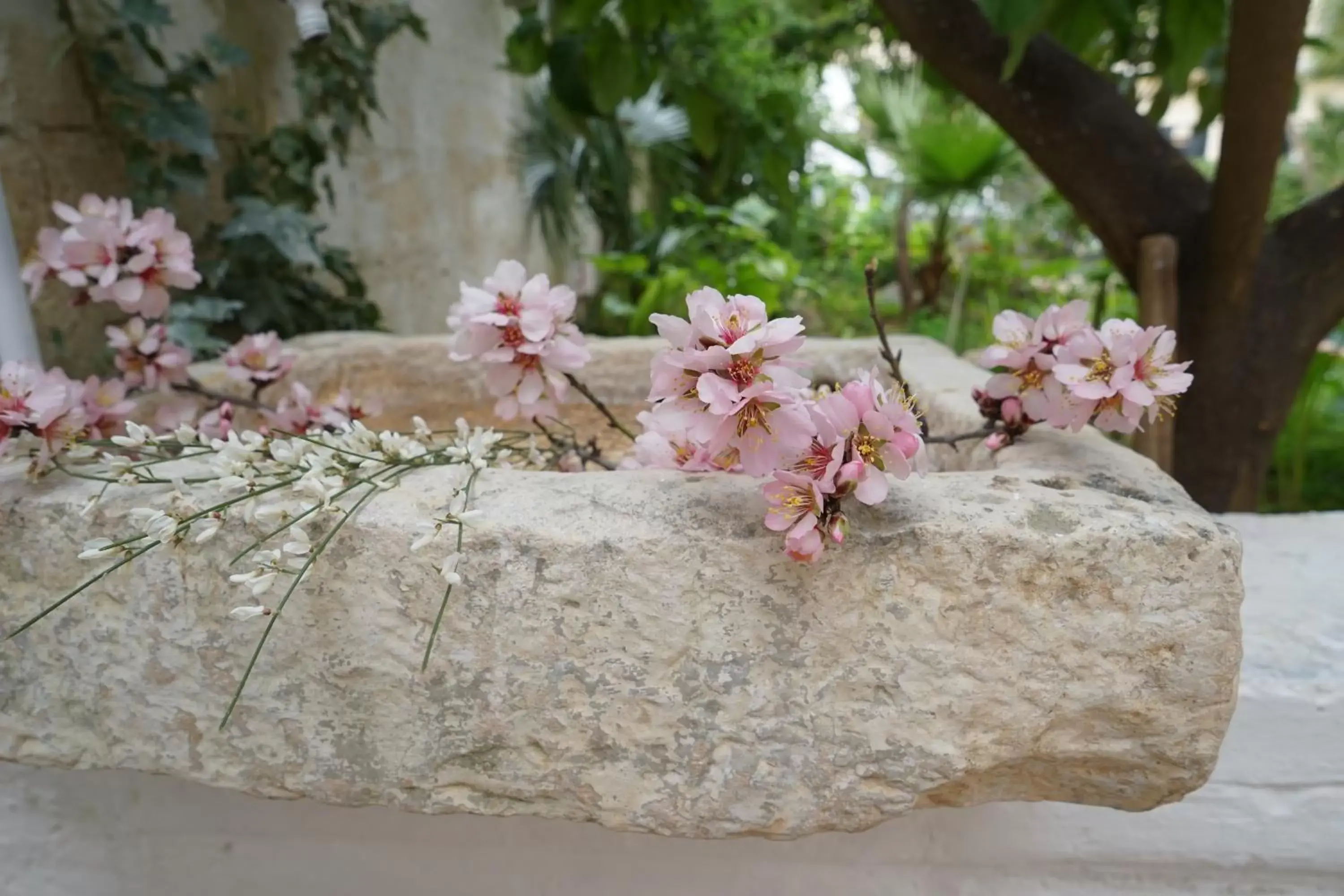 Decorative detail in FEMily B&B Bed and Breakfast di Puglia in - Bari