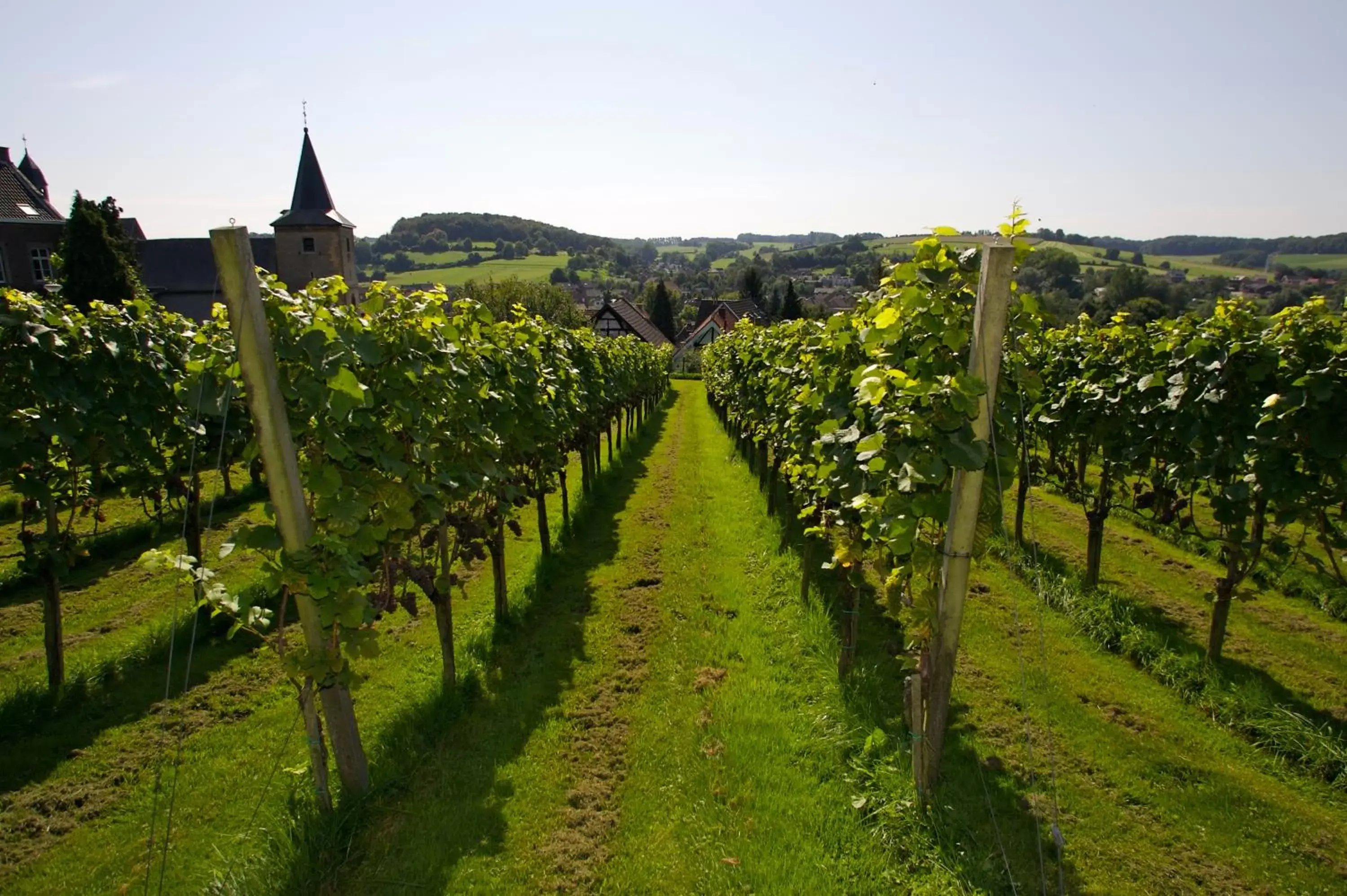 Natural landscape in Parkhotel Valkenburg