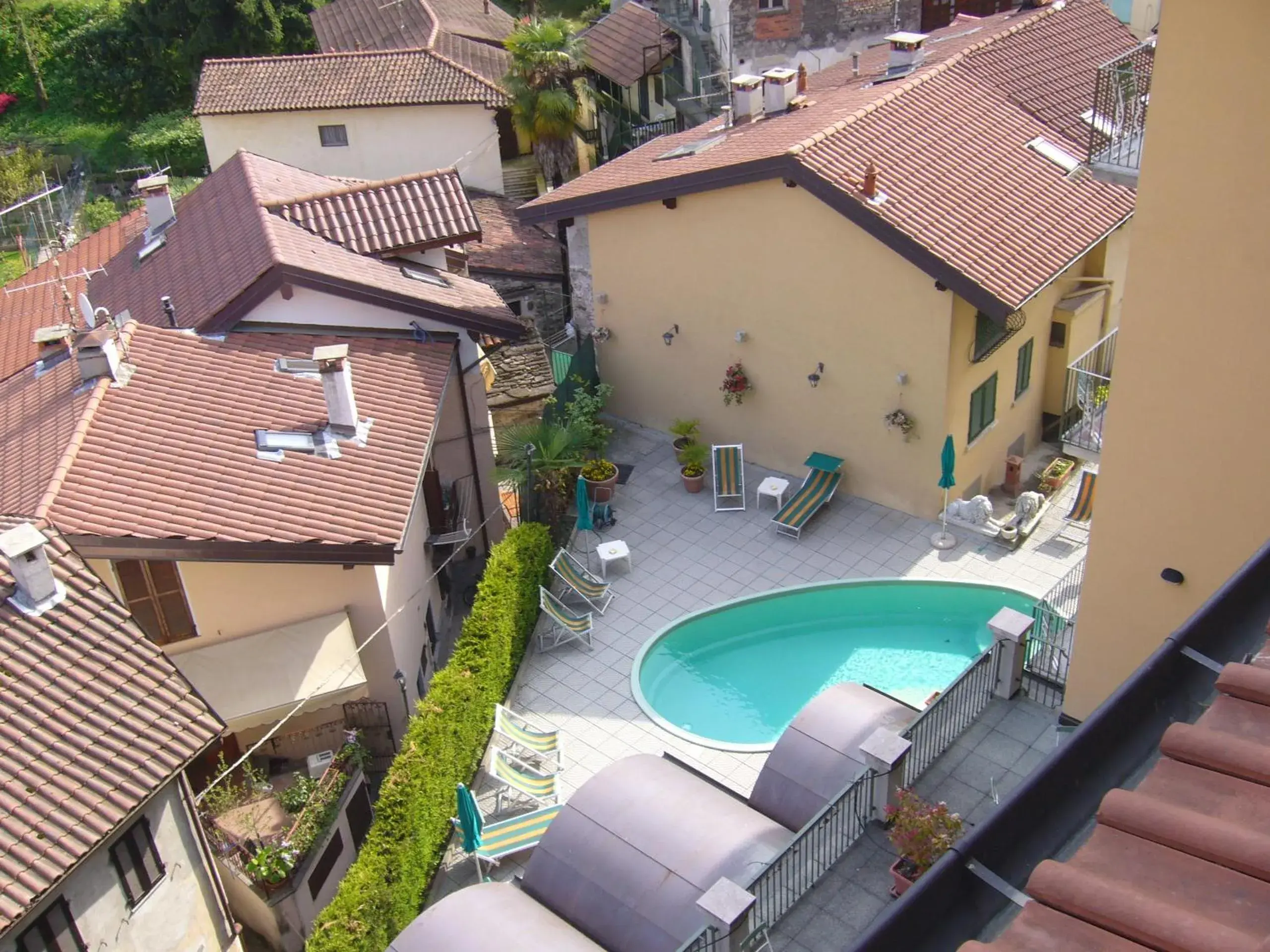 , Pool View in Hotel Azalea